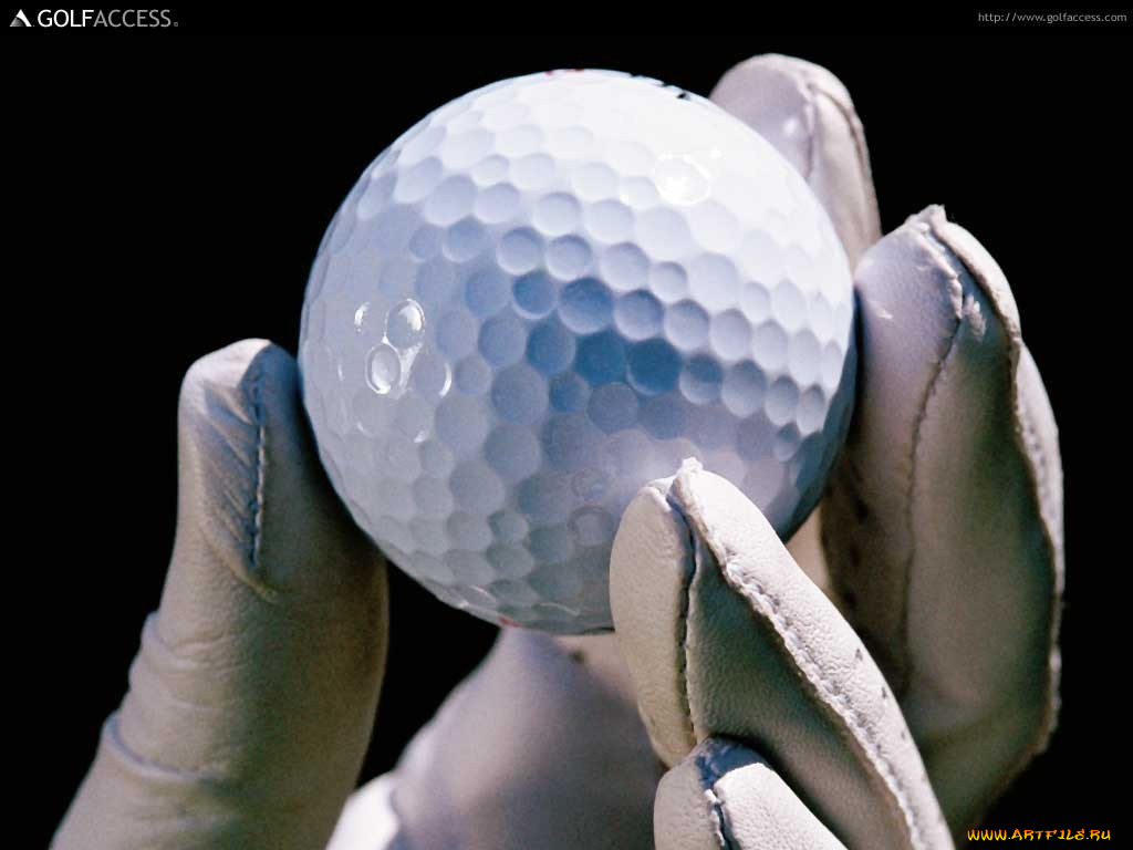 спорт, гольф