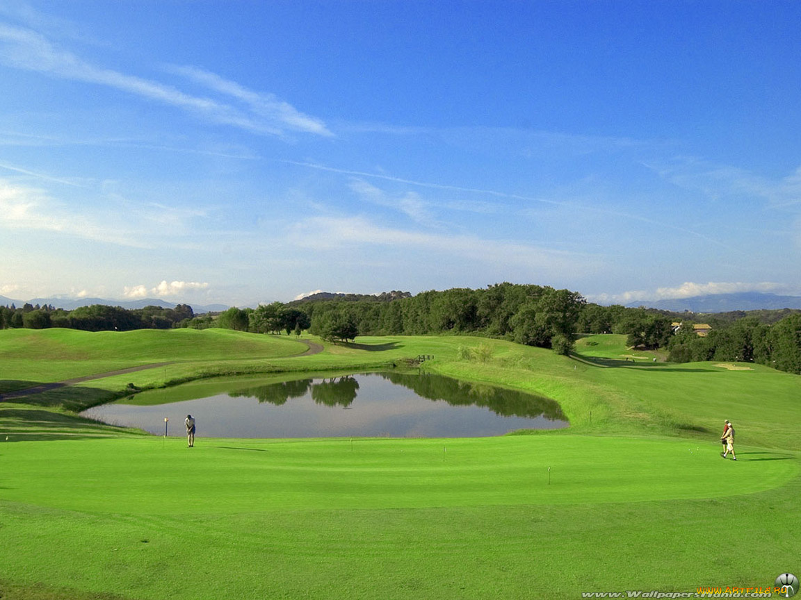 спорт, гольф