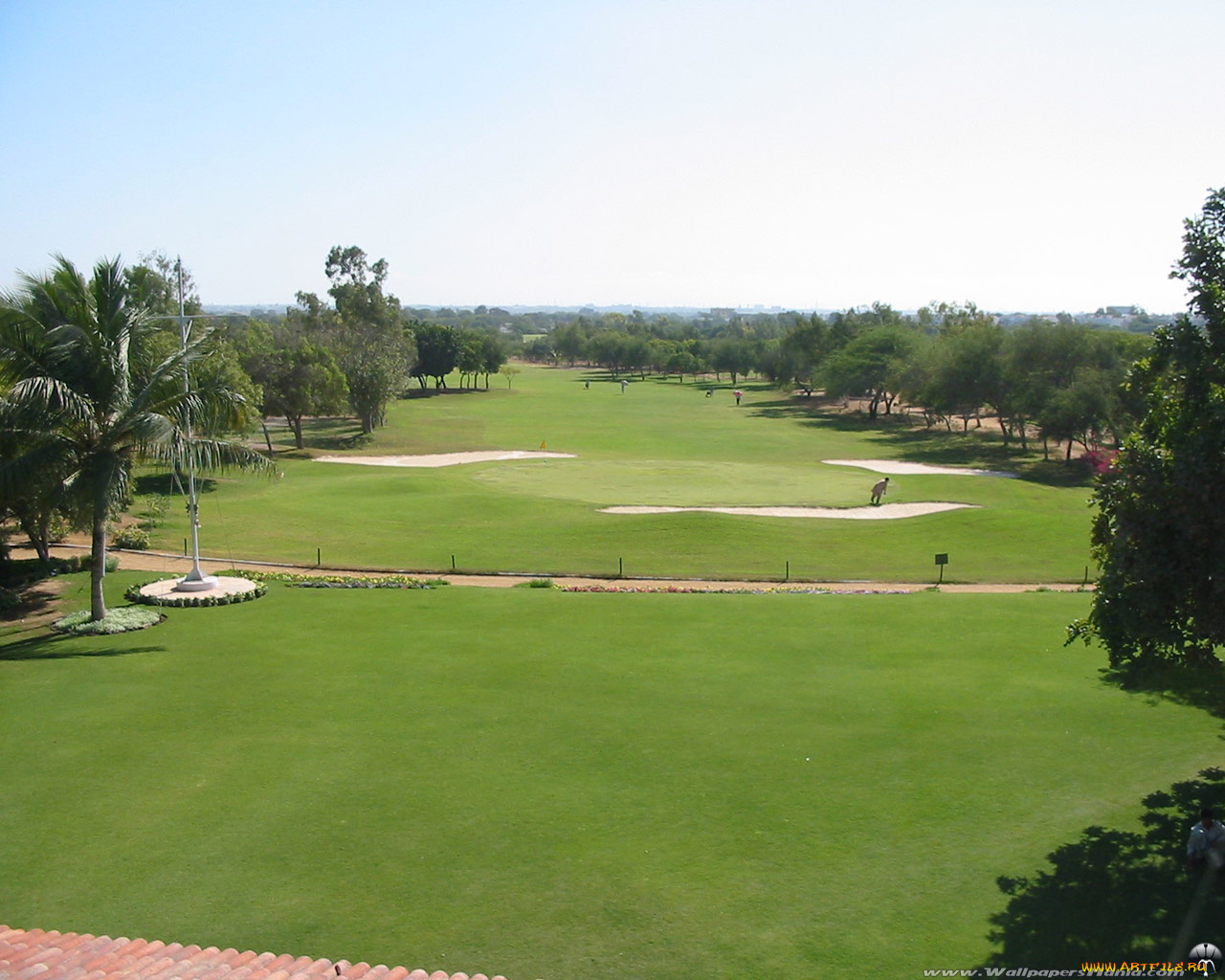 спорт, гольф