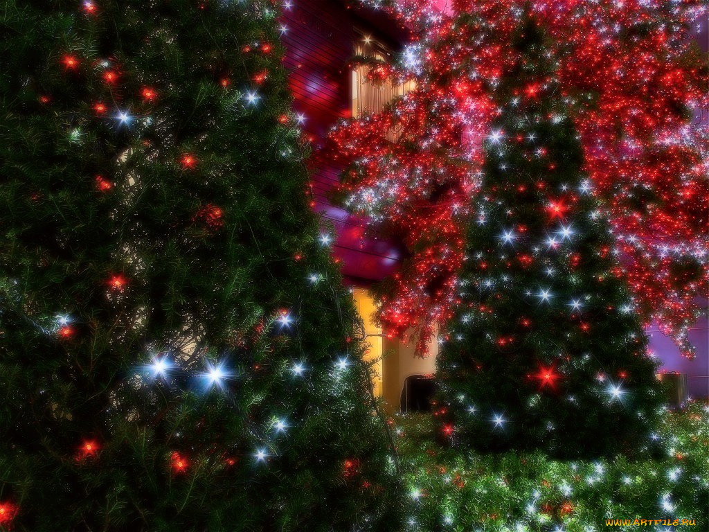 праздничные, Ёлки