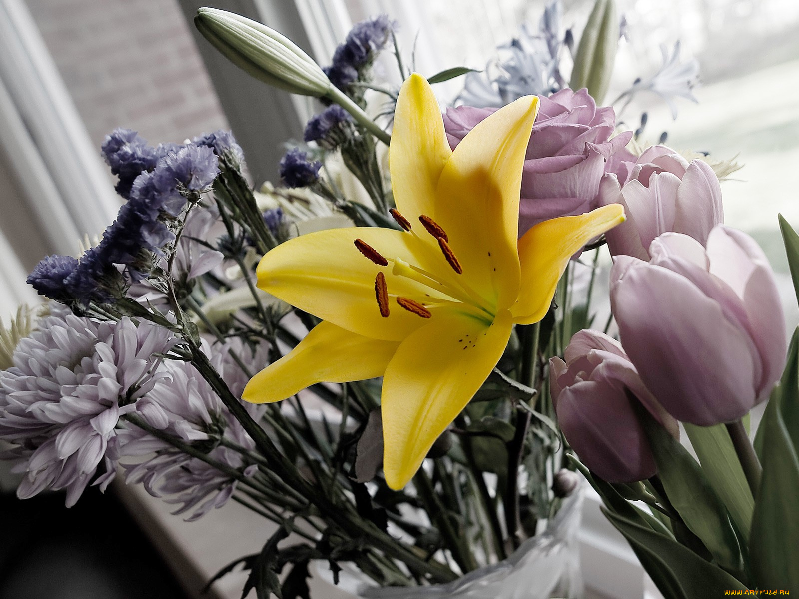 цветы, разные, вместе