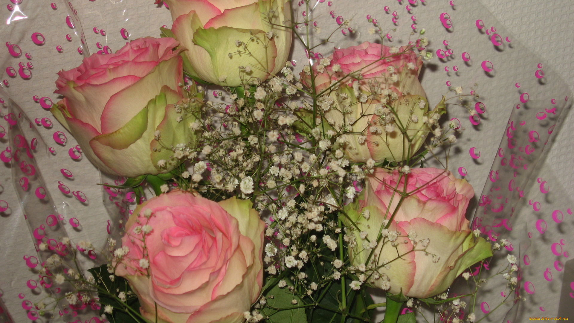 цветы, розы