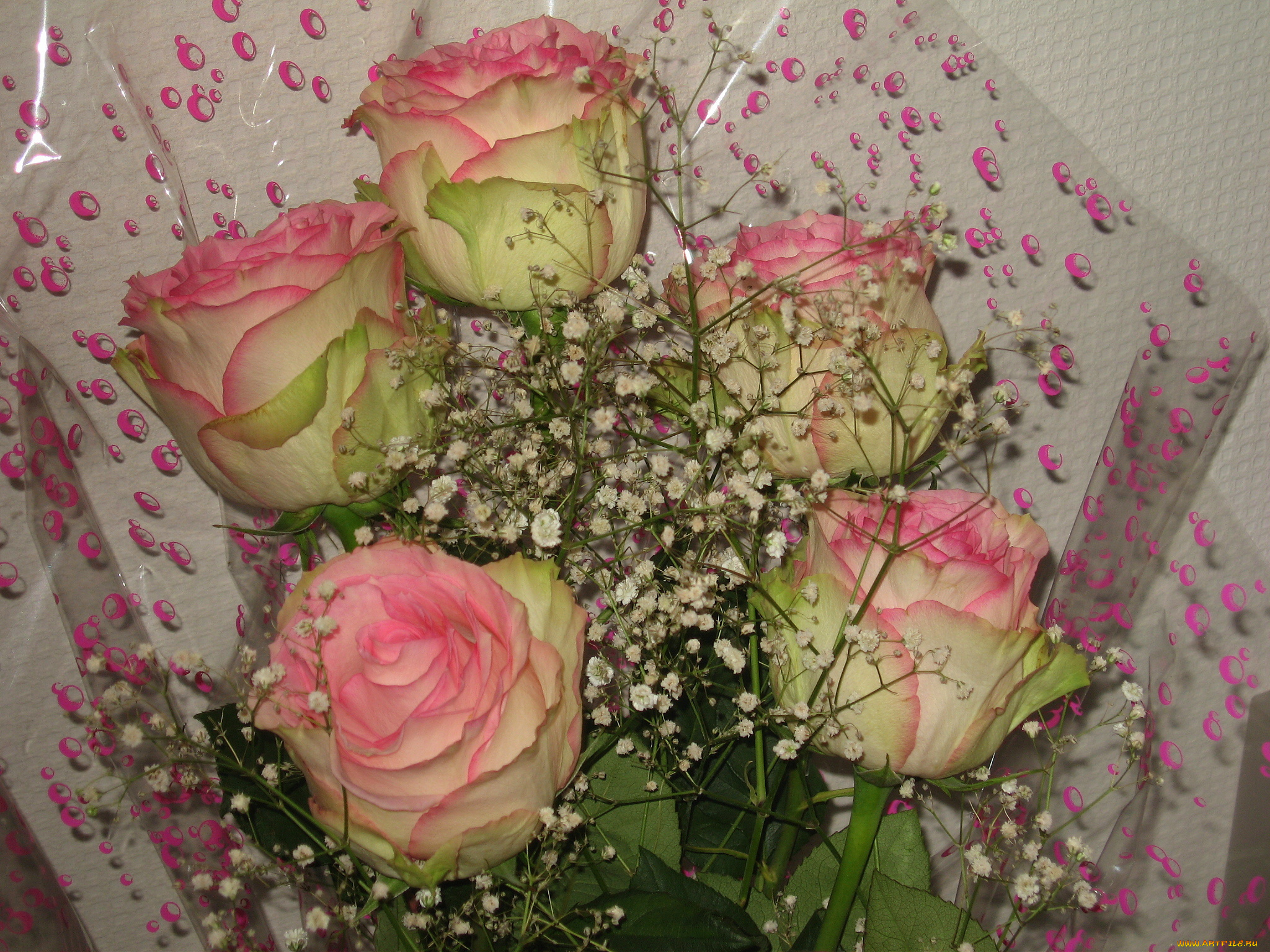 цветы, розы