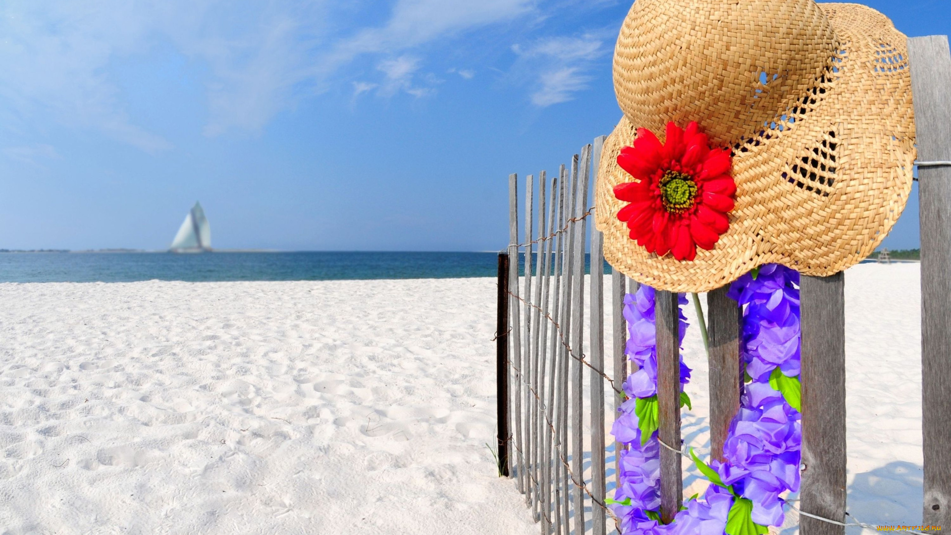 природа, побережье