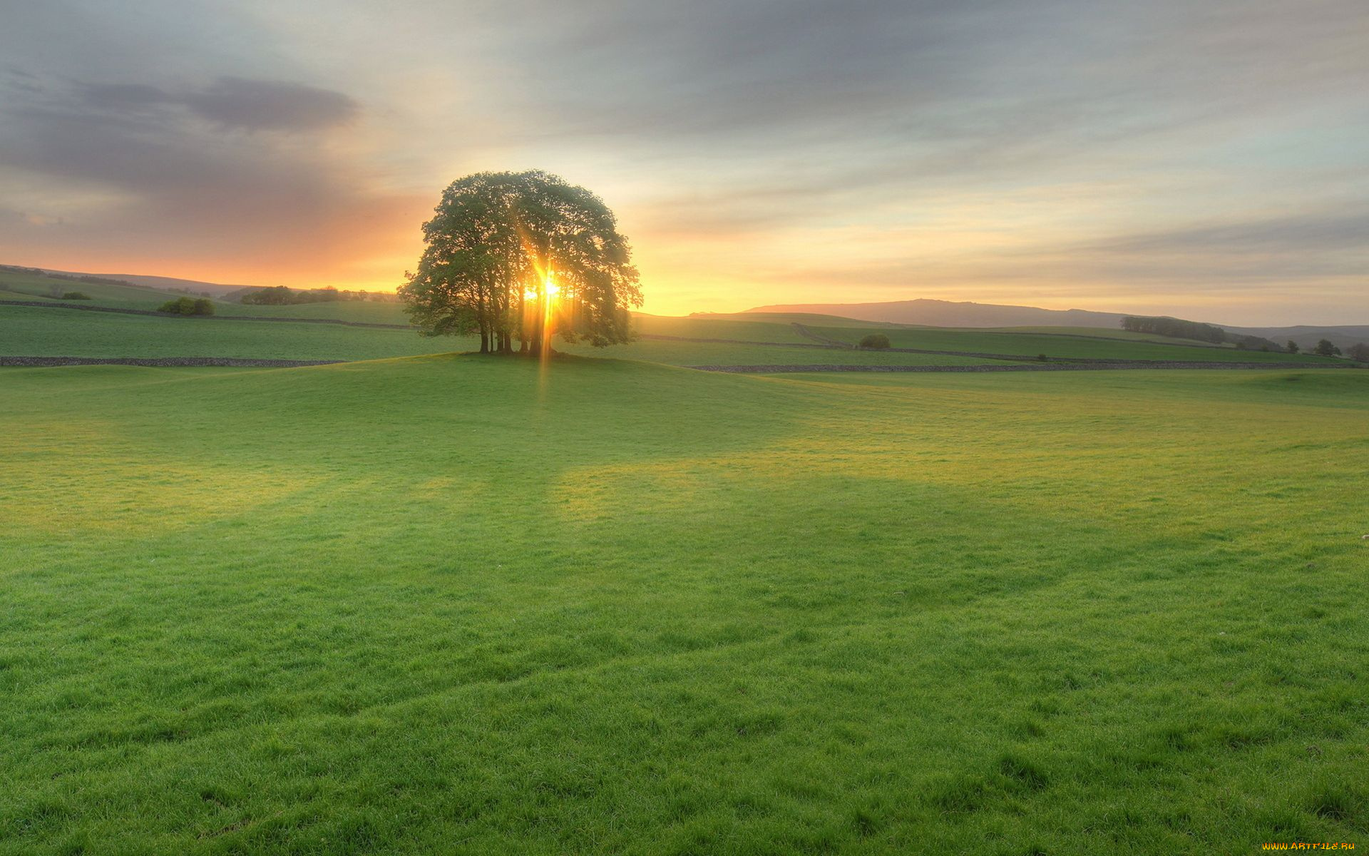 природа, луга