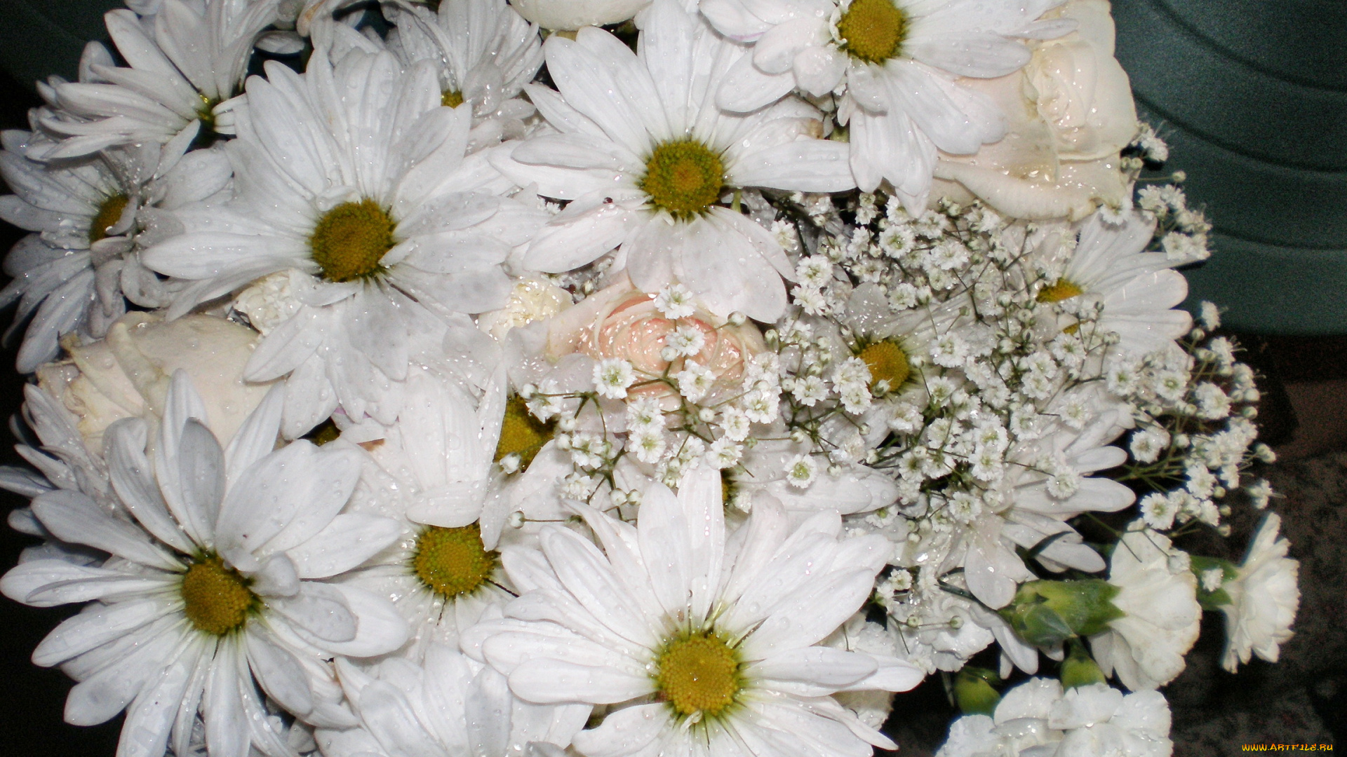 цветы, букеты, композиции, букет, ромашки, розы