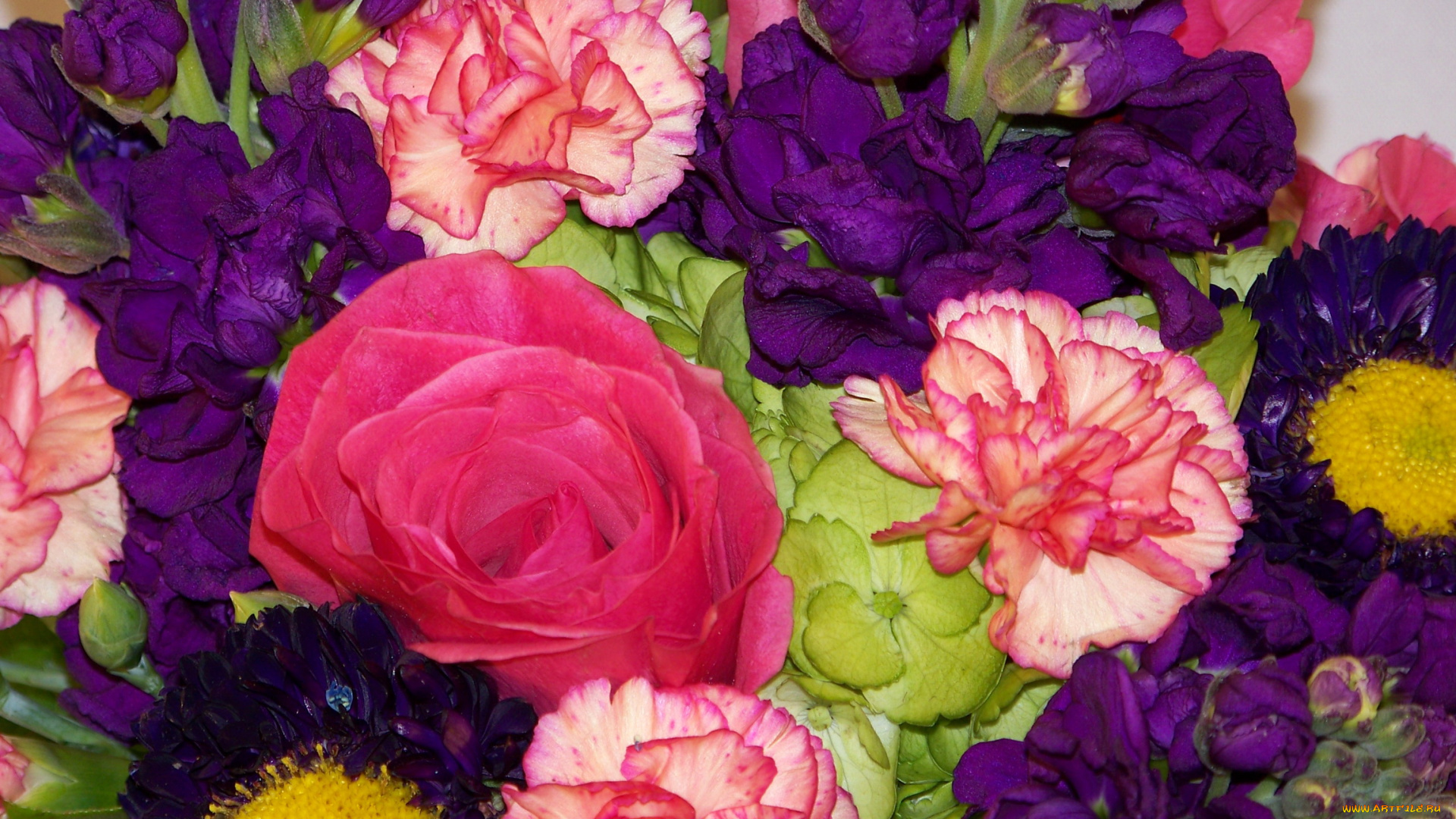 цветы, букеты, композиции, гвоздики, букет, розы