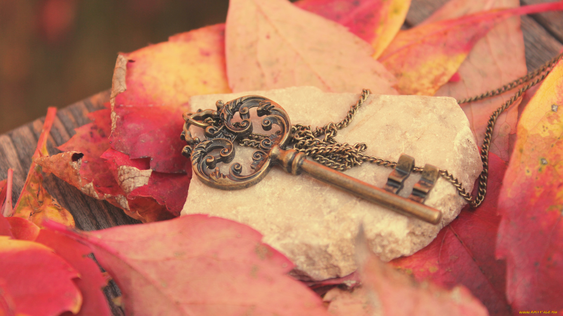 разное, ключи, замки, дверные, ручки, цепочка, камень, листья, ключ, осень