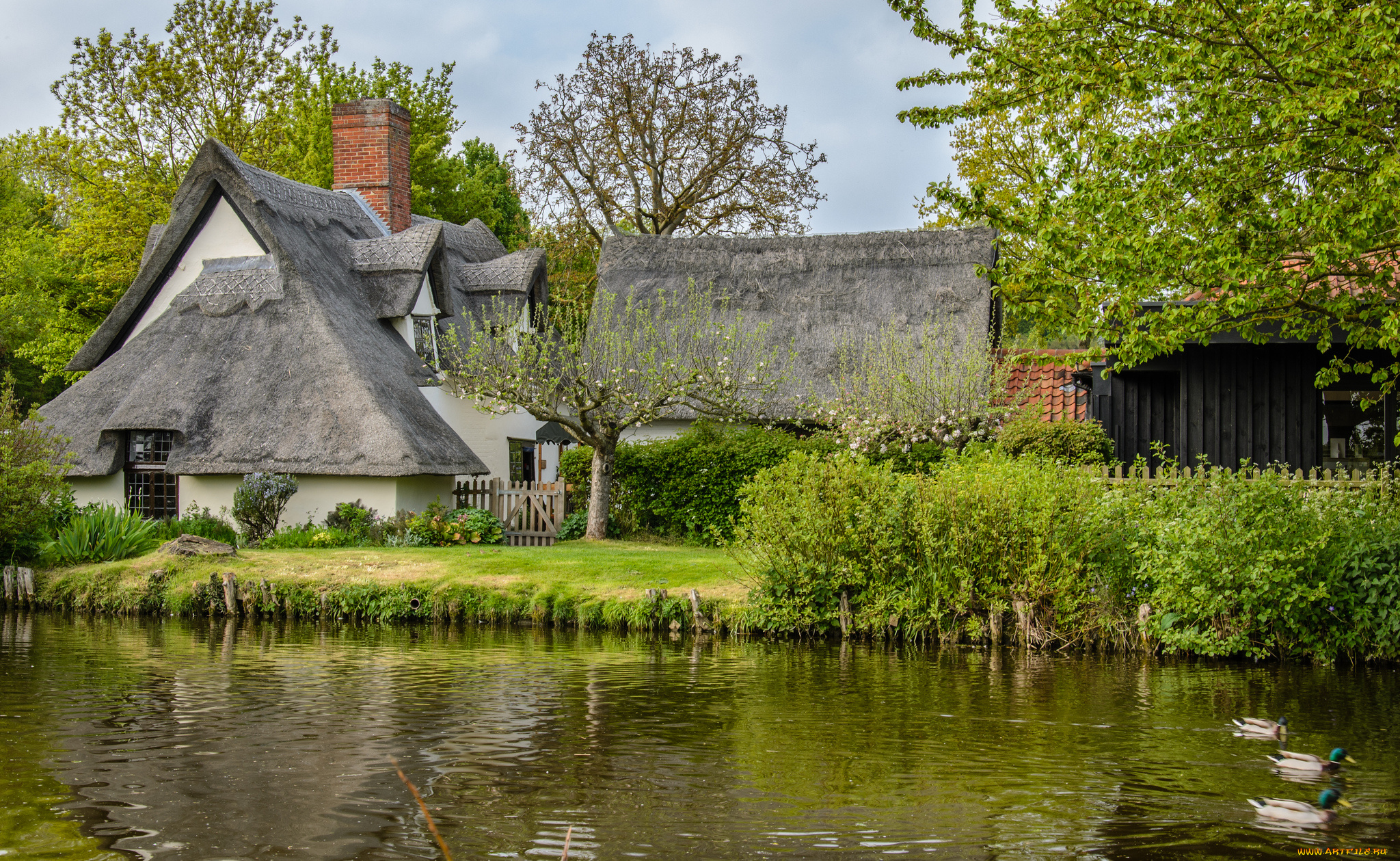 bridge, cottage, flatford, england, разное, сооружения, постройки, соломенной, коттедж, деревья, река, утки, англия