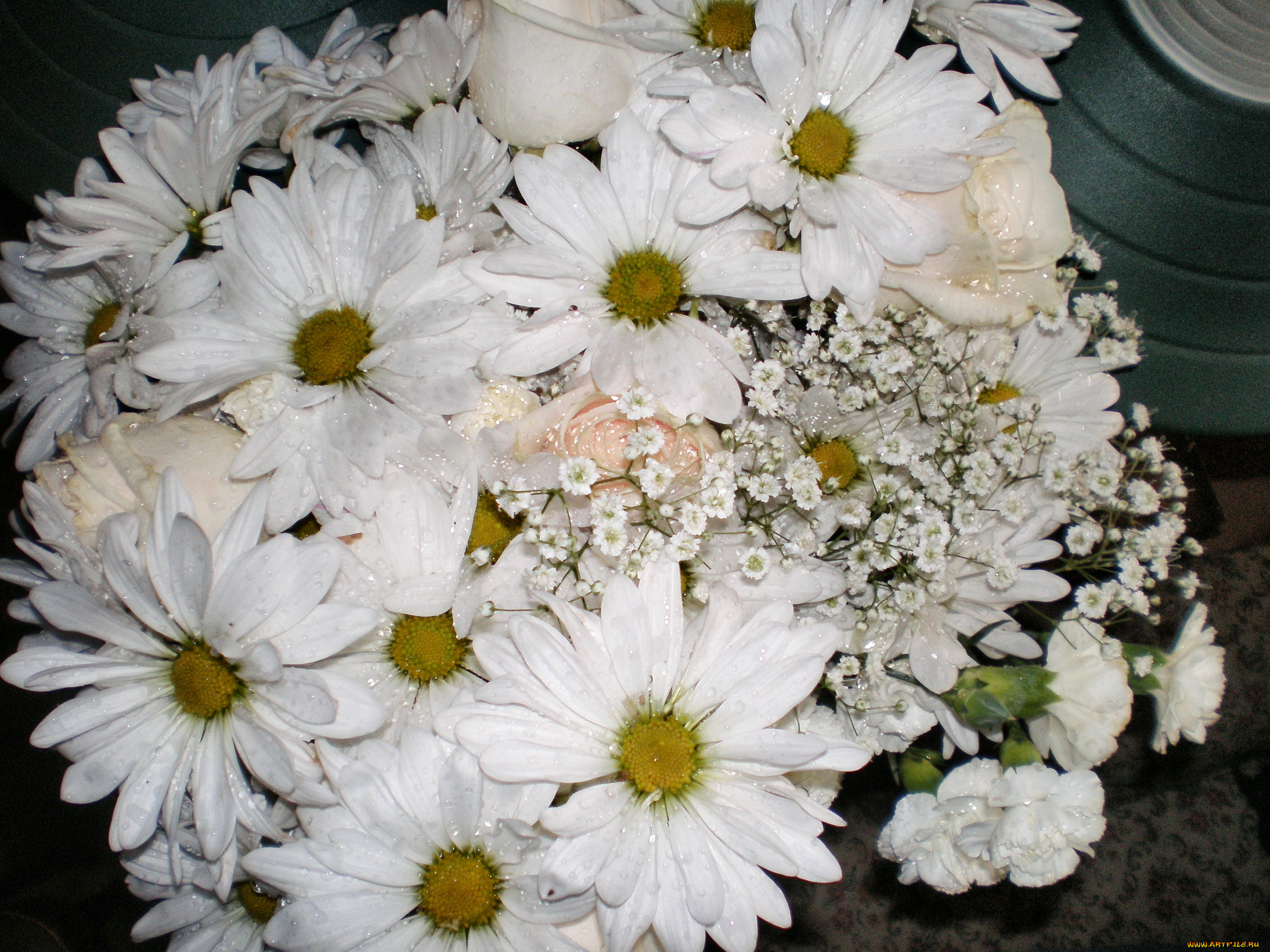 цветы, букеты, композиции, букет, ромашки, розы