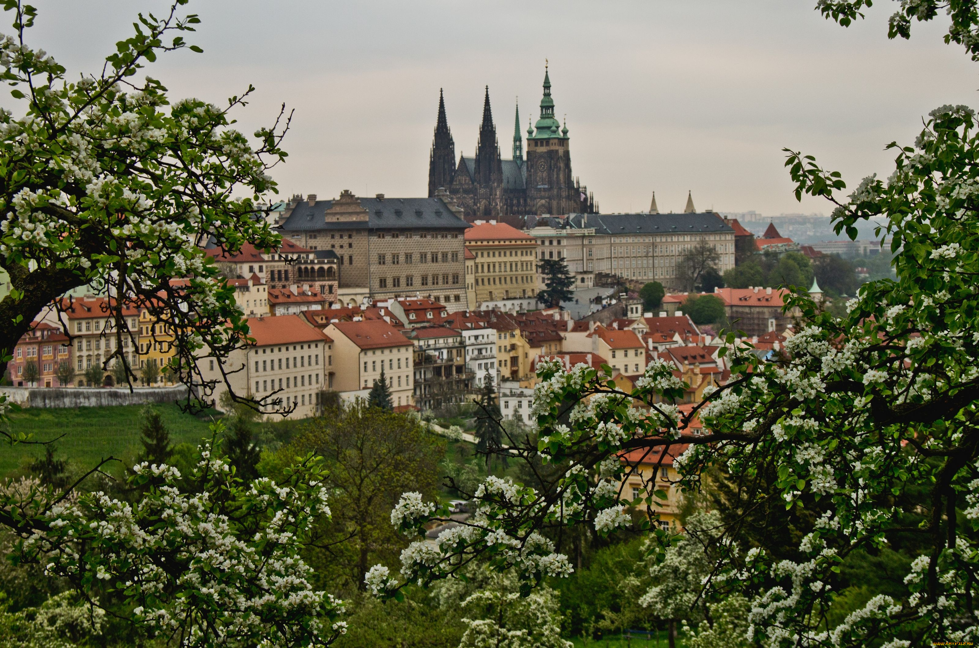 prague, czech, republic, города, прага, Чехия, здания, деревья, панорама, весна, цветение