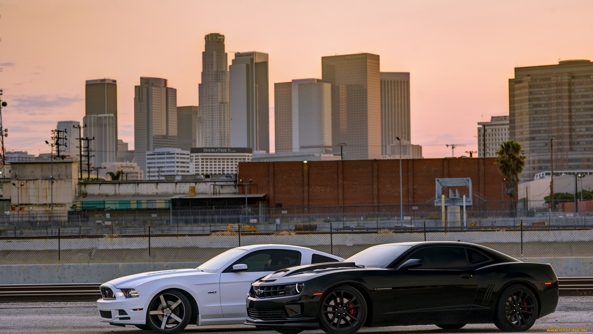 автомобили, разные, вместе, ford, mustang, chevrolet, camaro, ss, white, black, форд, мустанг, шевроле, камаро, вид, сбоку, тень