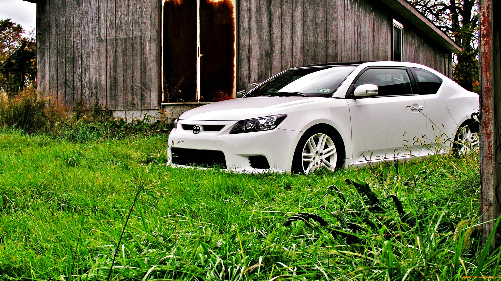 автомобили, scion