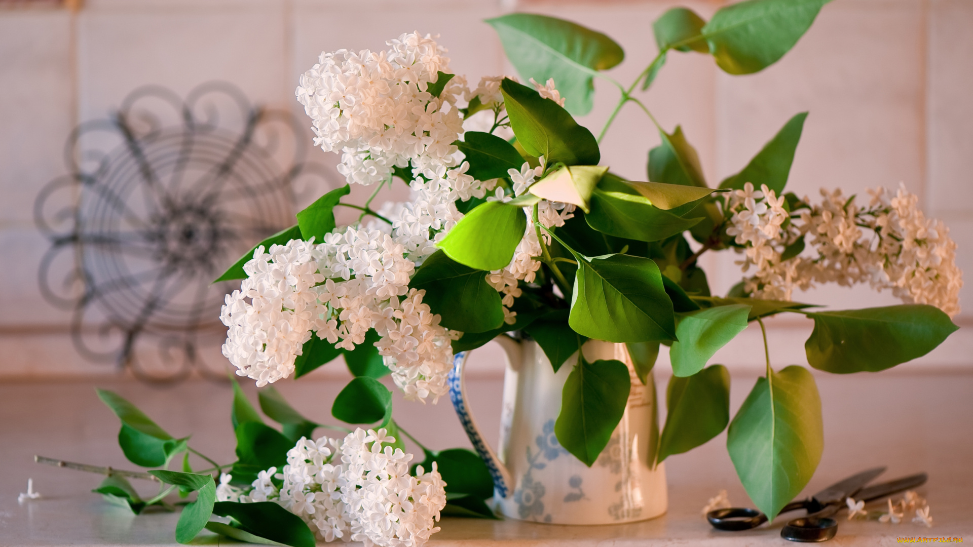 цветы, сирень, букет