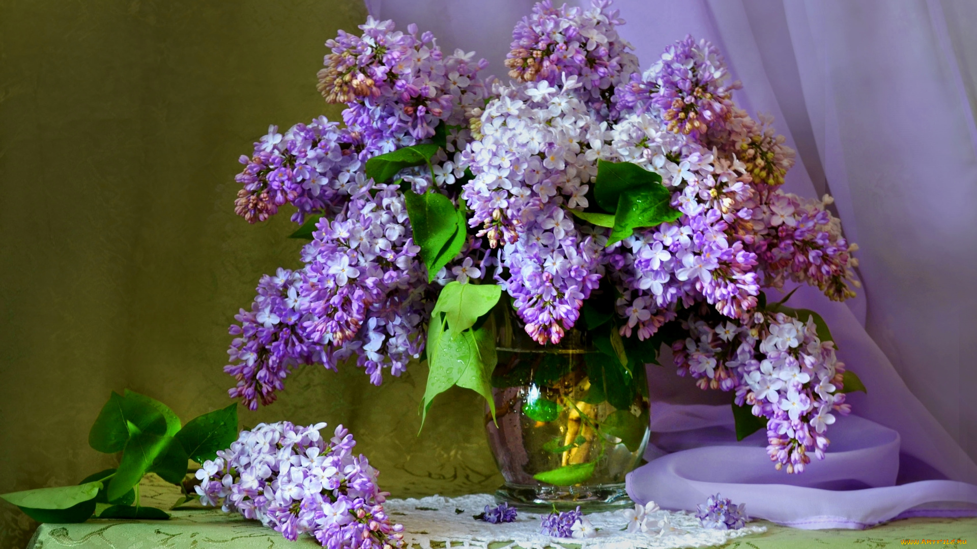 цветы, сирень, букет