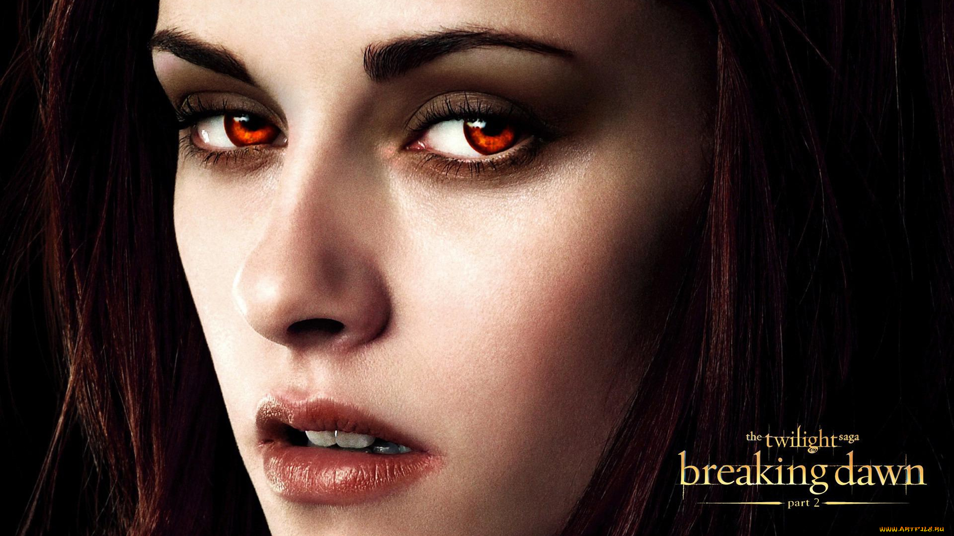 кино, фильмы, the, twilight, saga, , breaking, dawn, part, 2, сумерки, бэлла, лицо, портрет, взгляд, вампир