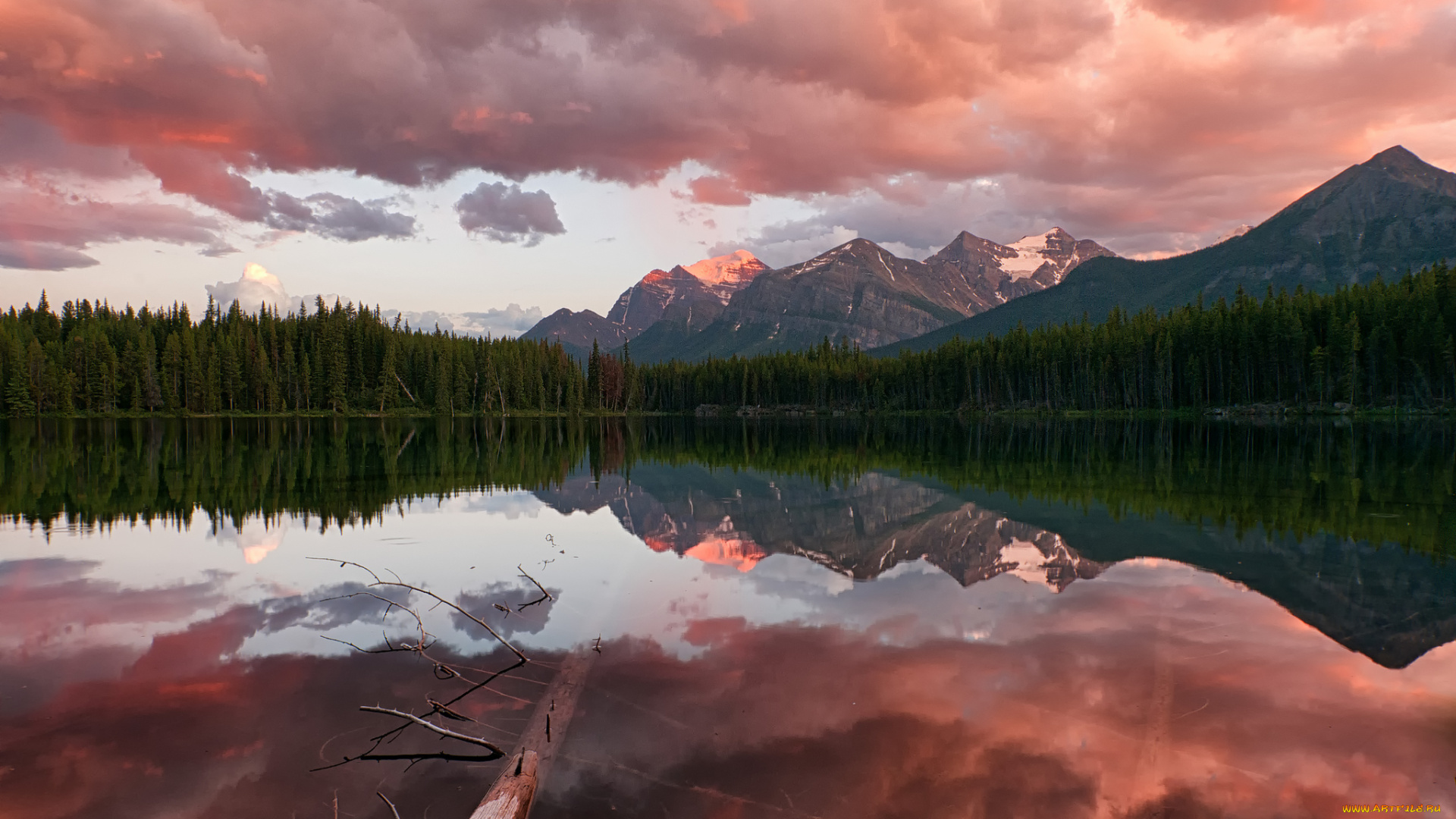 природа, реки, озера, вечер, облака, небо, закат, хвойный, лес, озеро, национальный, парк, банф, канада, herbert, lake, скалистые, горы