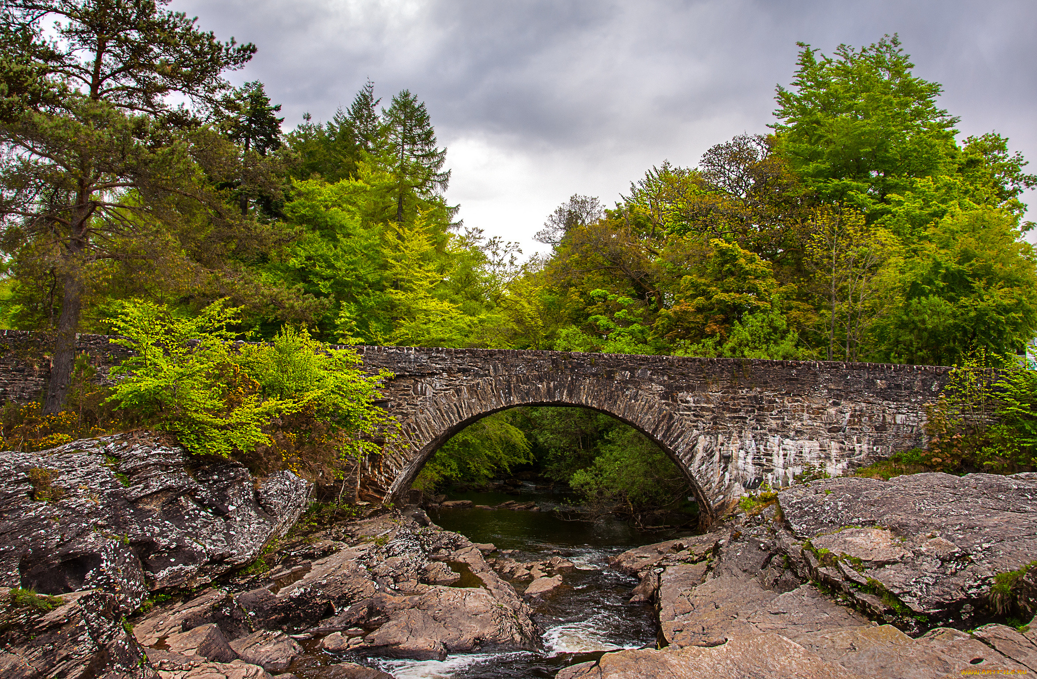 природа, реки, озера, скалы, мост, лес, река