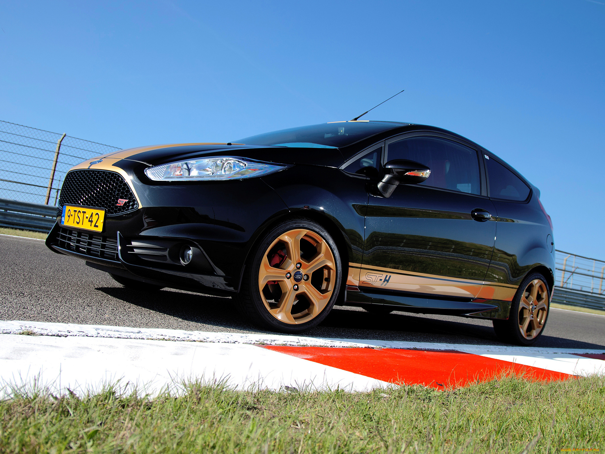 автомобили, ford, темный, 2014г, fiesta, st-h