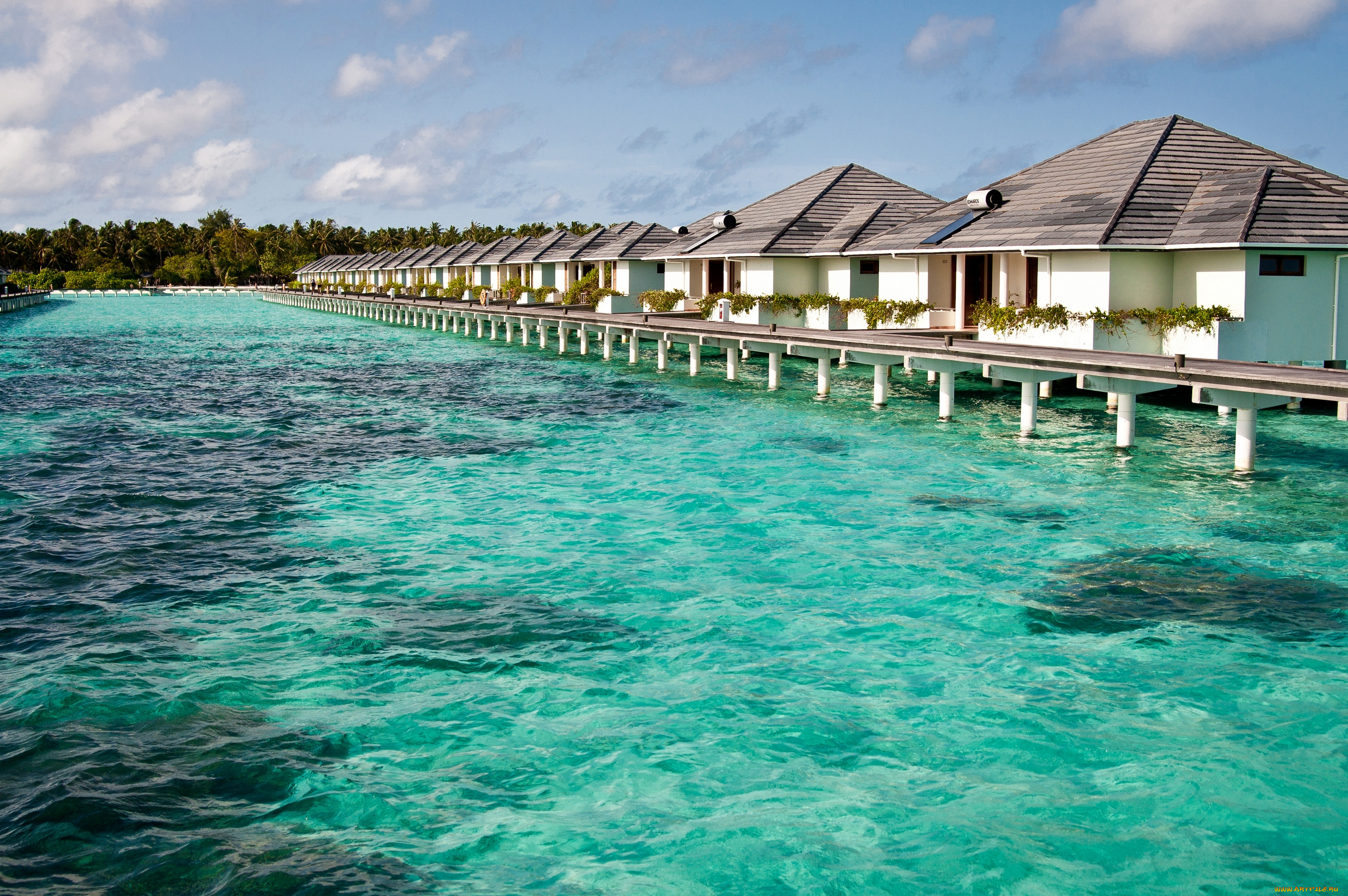 maldives, природа, тропики, indian, ocean, arabian, sea, мале, мальдивы, индийский, океан, аравийское, море, вода, бунгало, мостки