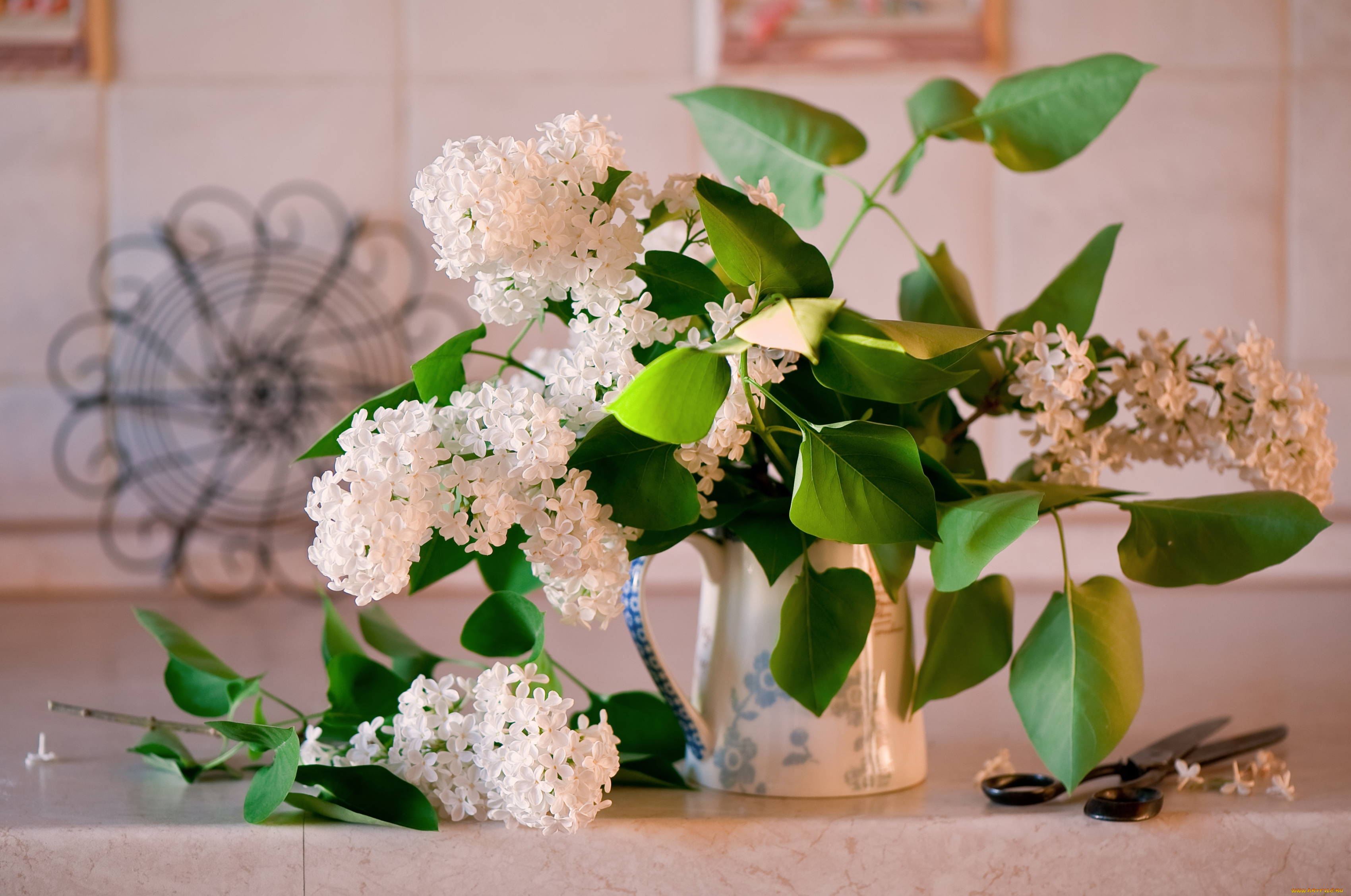 цветы, сирень, букет