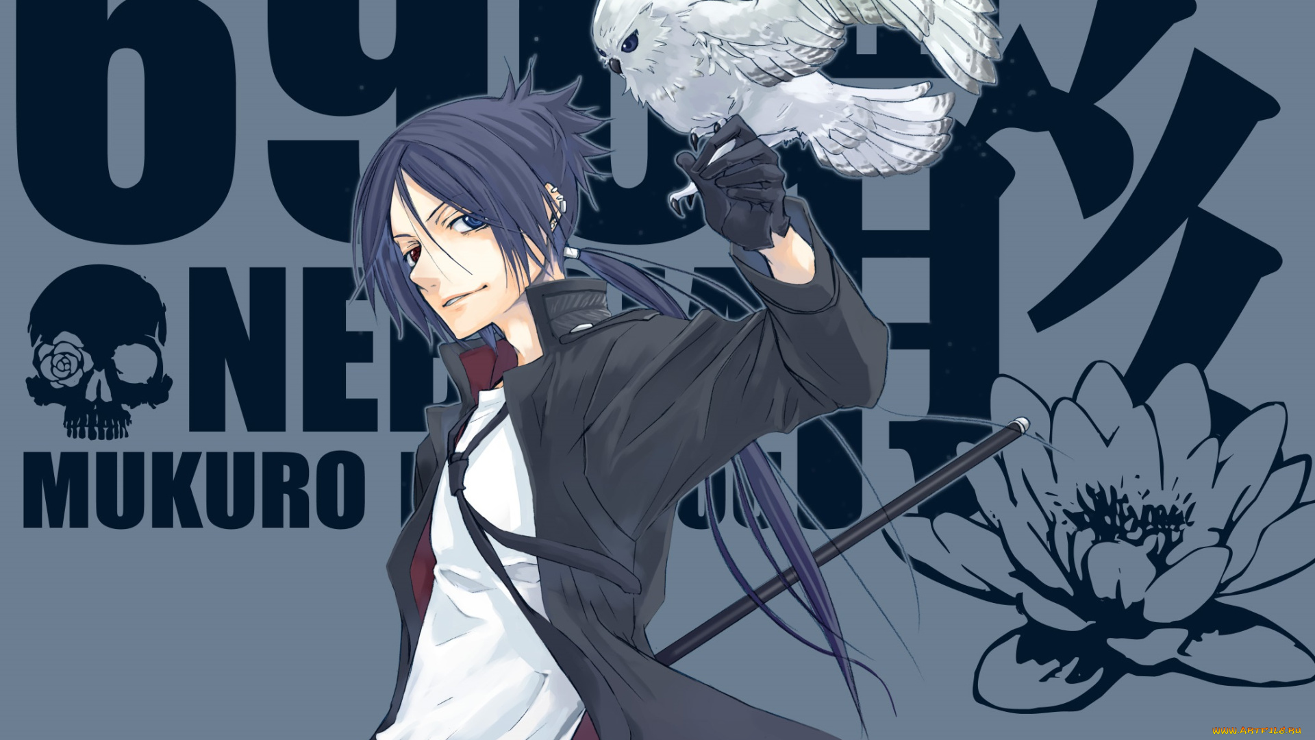 аниме, katekyo, hitman, reborn, парень, сова