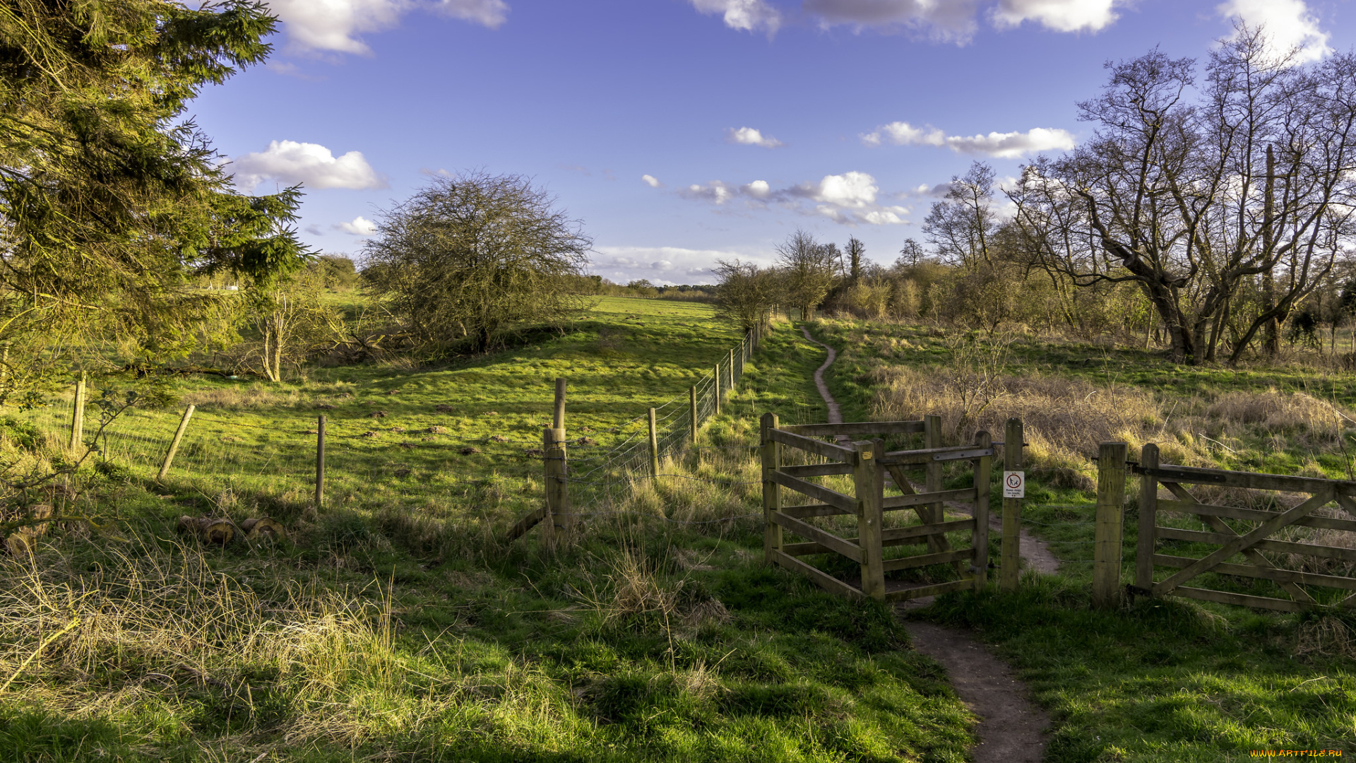 природа, дороги, лес, река