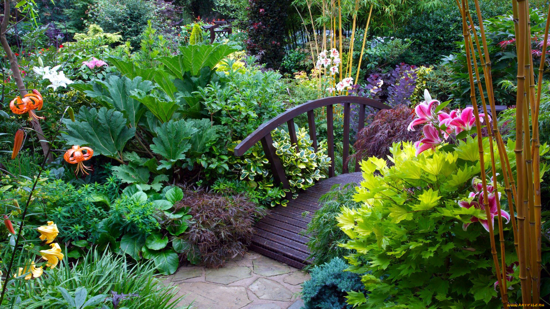 природа, парк, лилии, мостик, бамбук