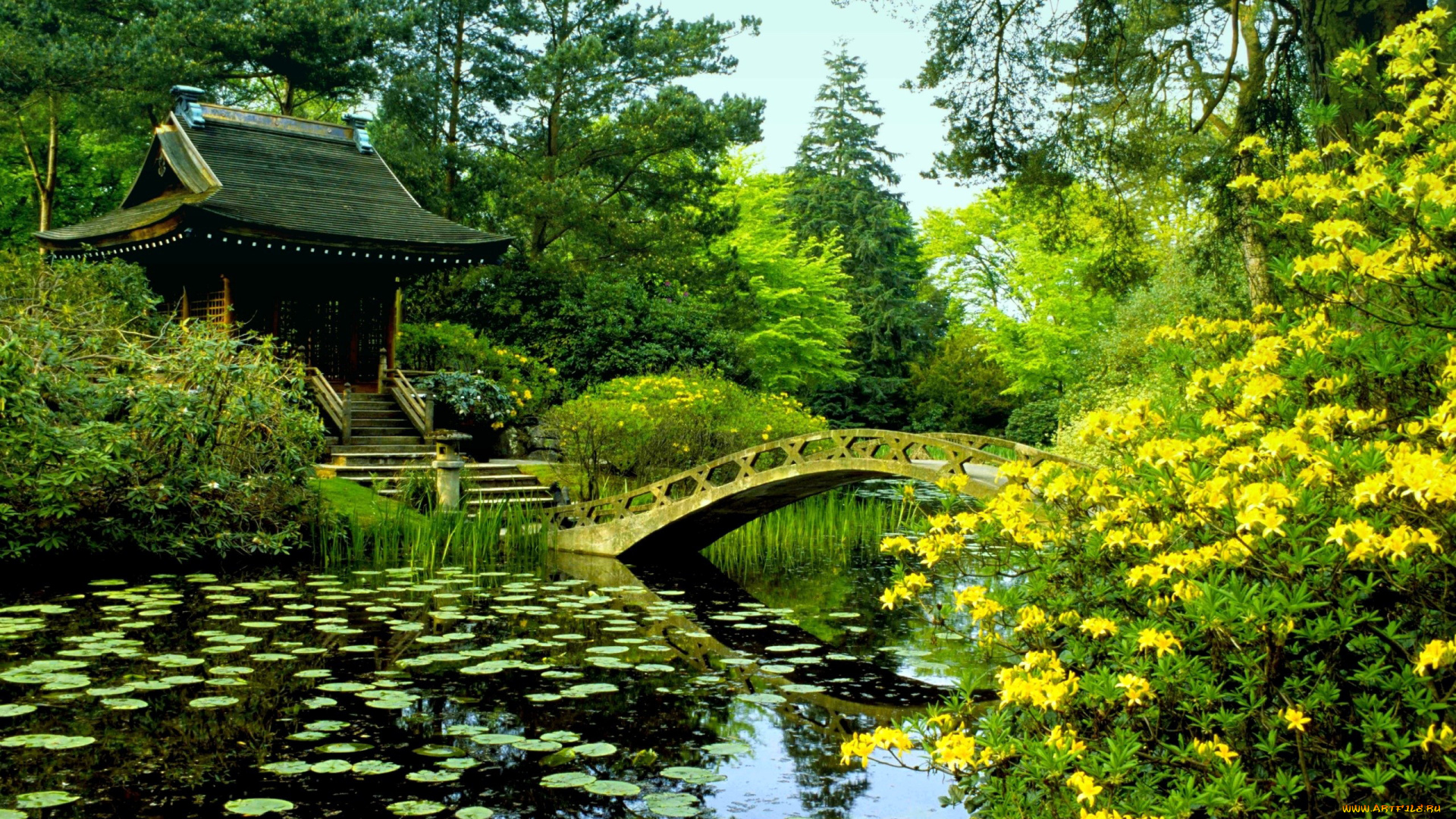 природа, парк, водоем, мостик