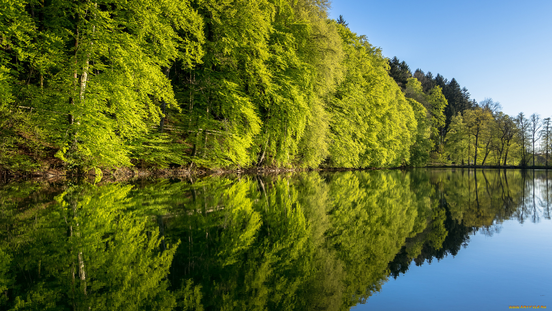 природа, реки, озера, река, лес