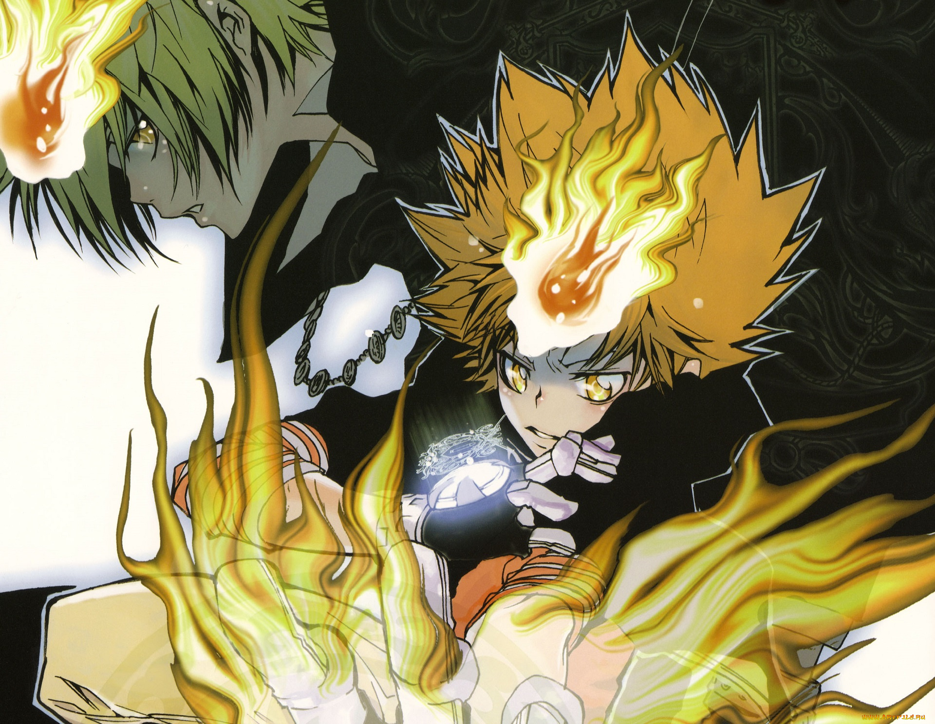 аниме, katekyo, hitman, reborn, парень