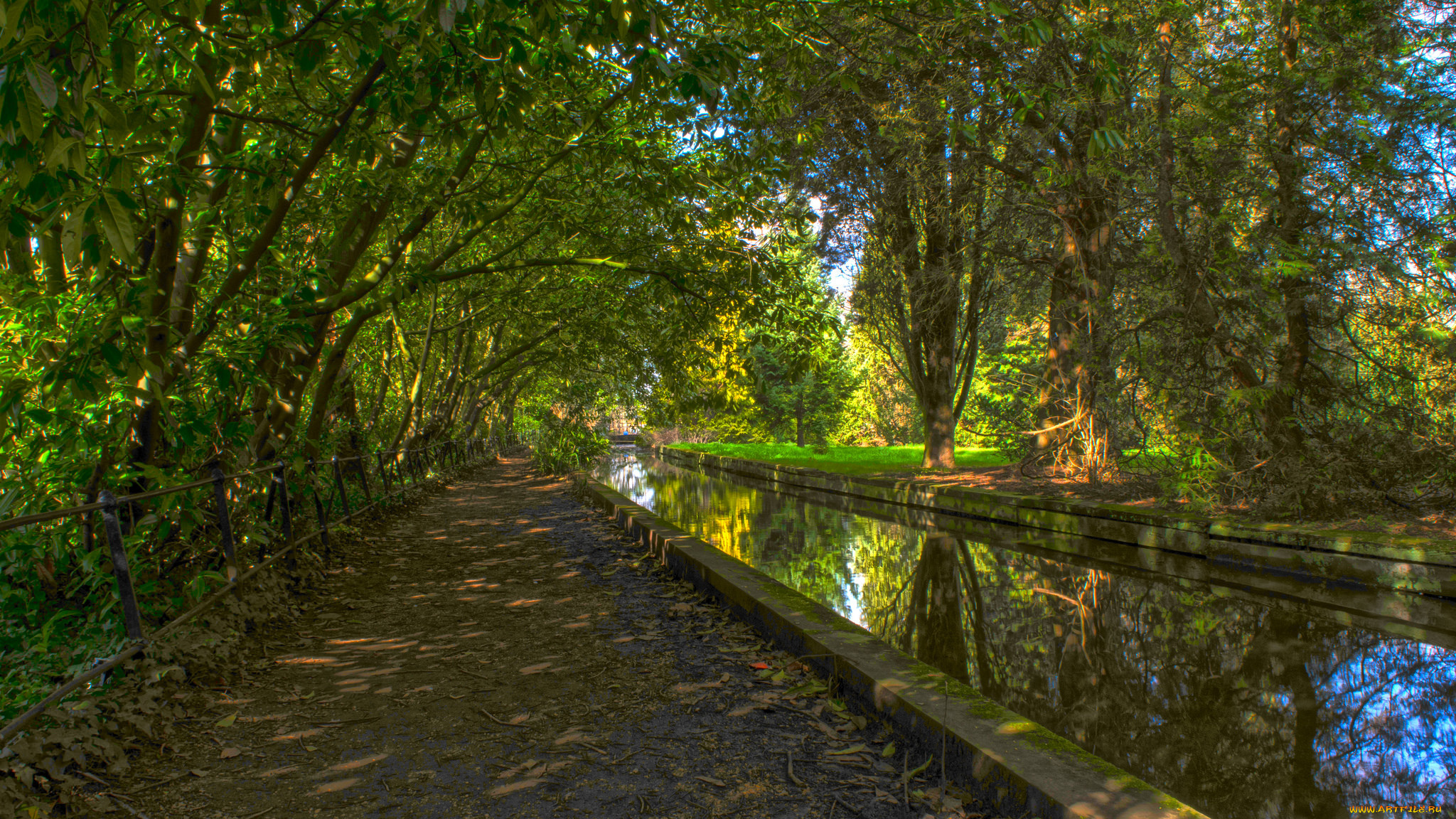 природа, реки, озера, река, лес