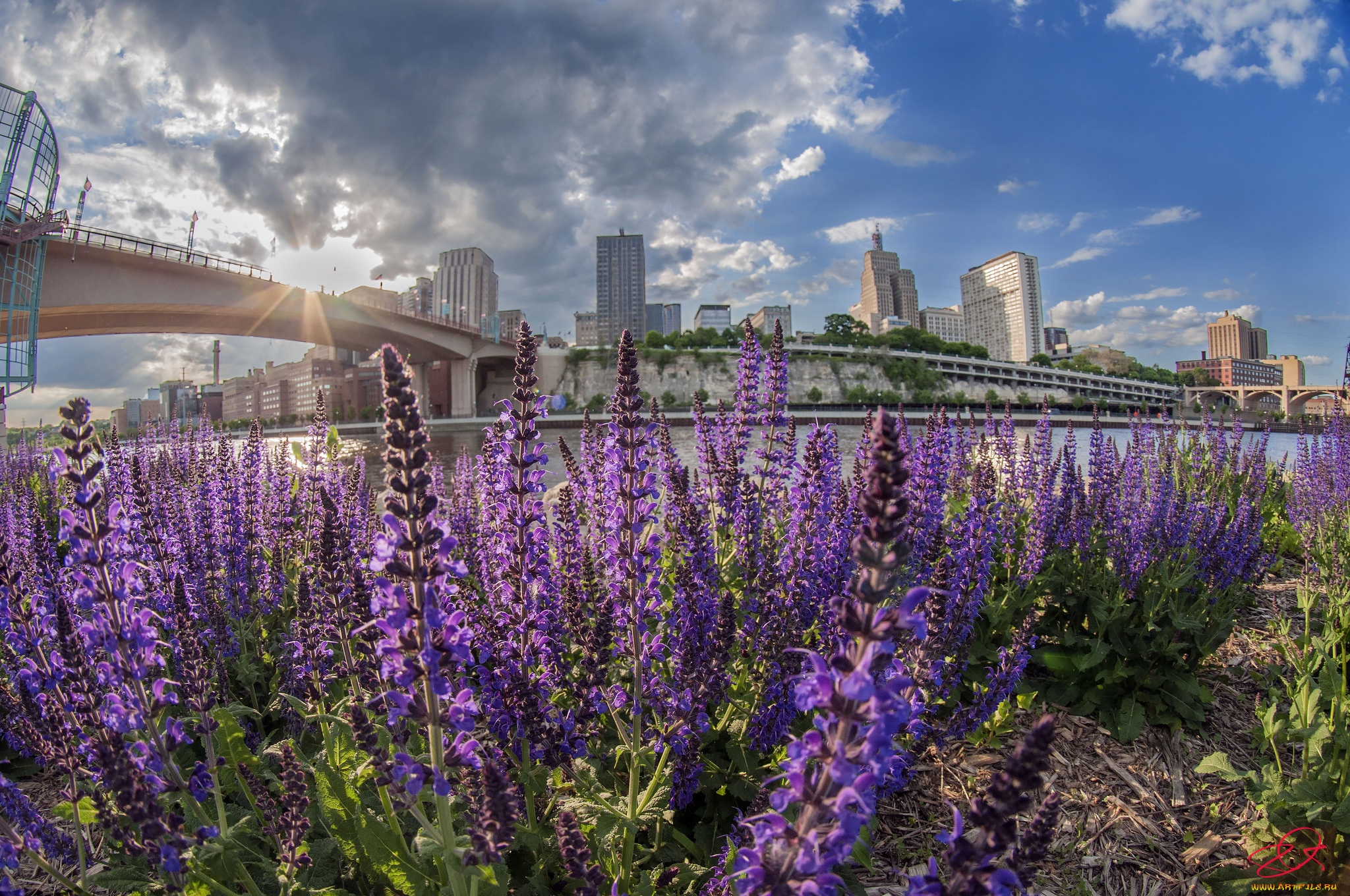 saint, paul, города, сан-пауло, , бразилия, утро