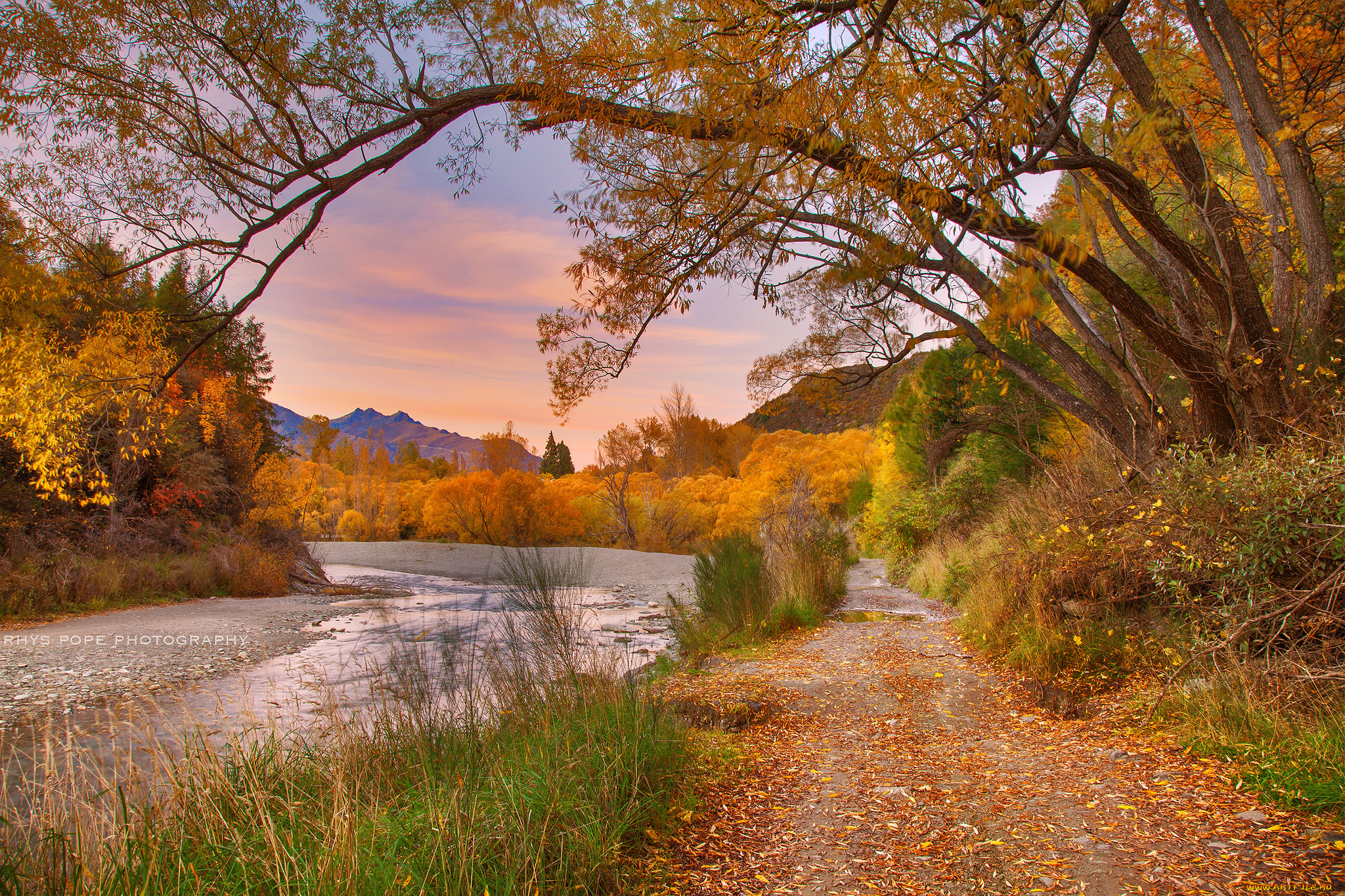 природа, реки, озера, лес, река