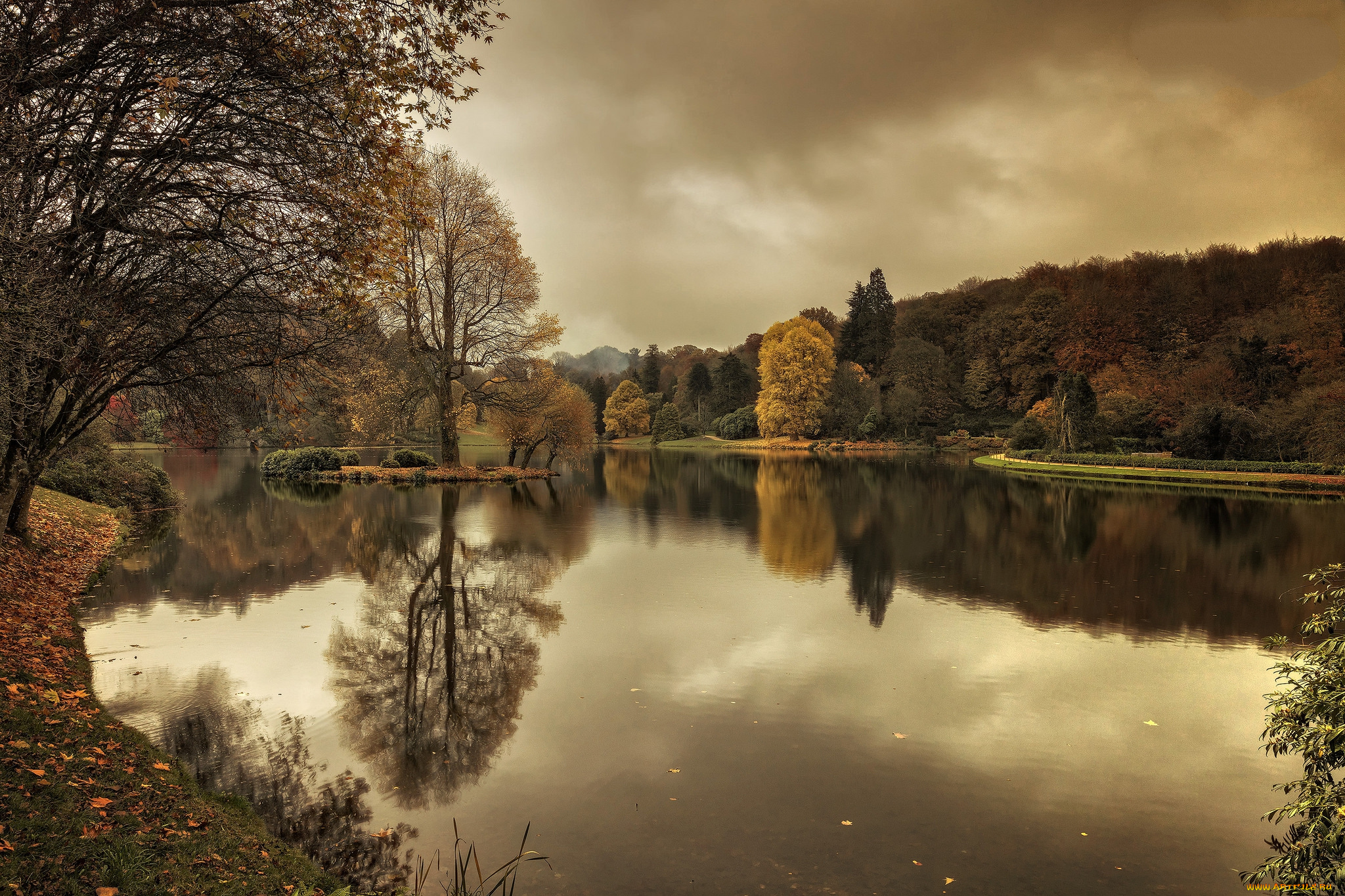 природа, реки, озера, река, лес