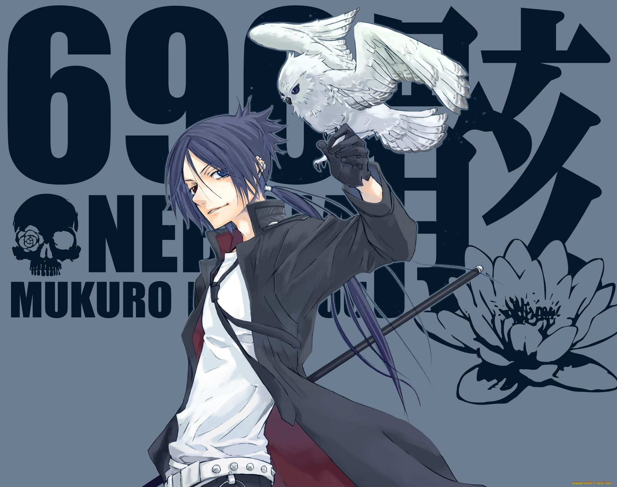 аниме, katekyo, hitman, reborn, парень, сова