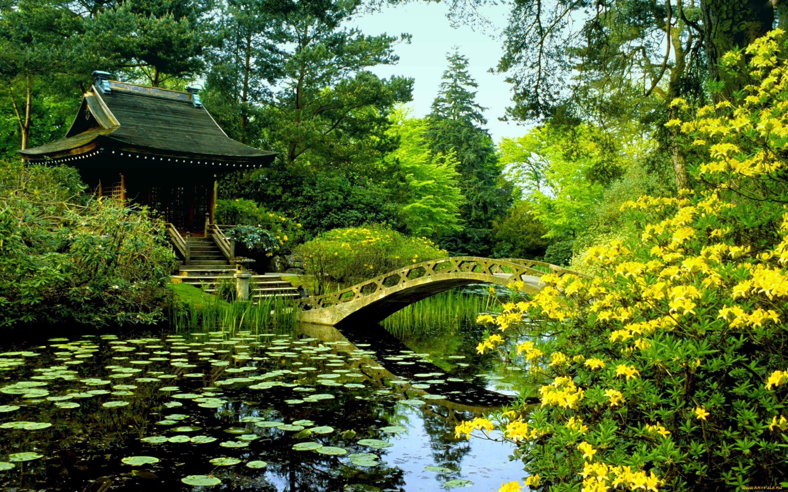 природа, парк, водоем, мостик