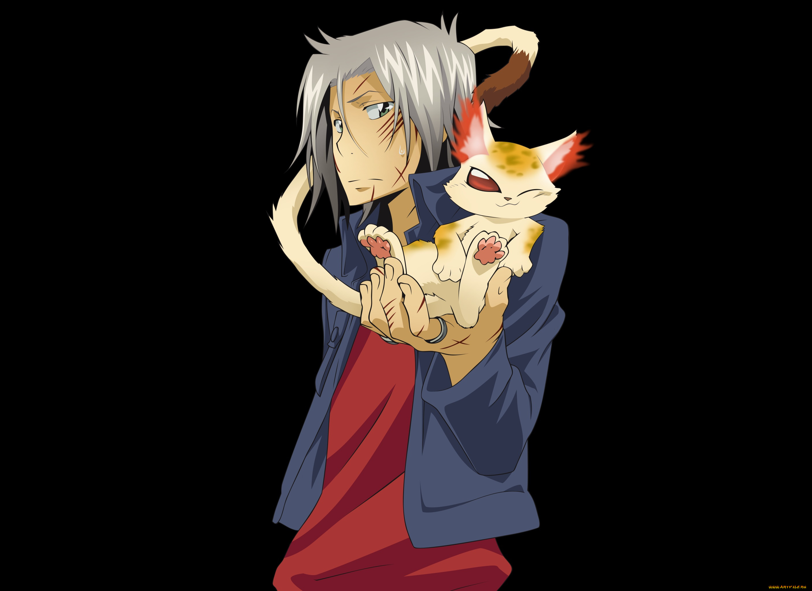 аниме, katekyo, hitman, reborn, хаято