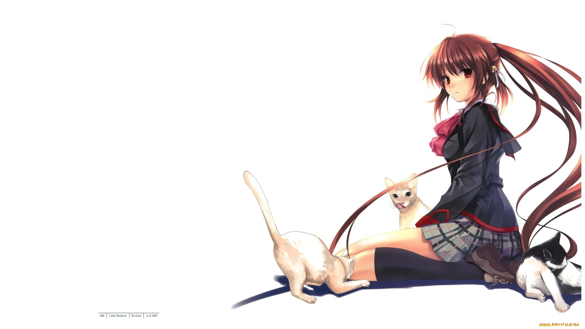 аниме, животные, , существа, три, котенка, на, коленях, длинные, волосы, гольфы, сидит, школьница, рыжая, белый, фон