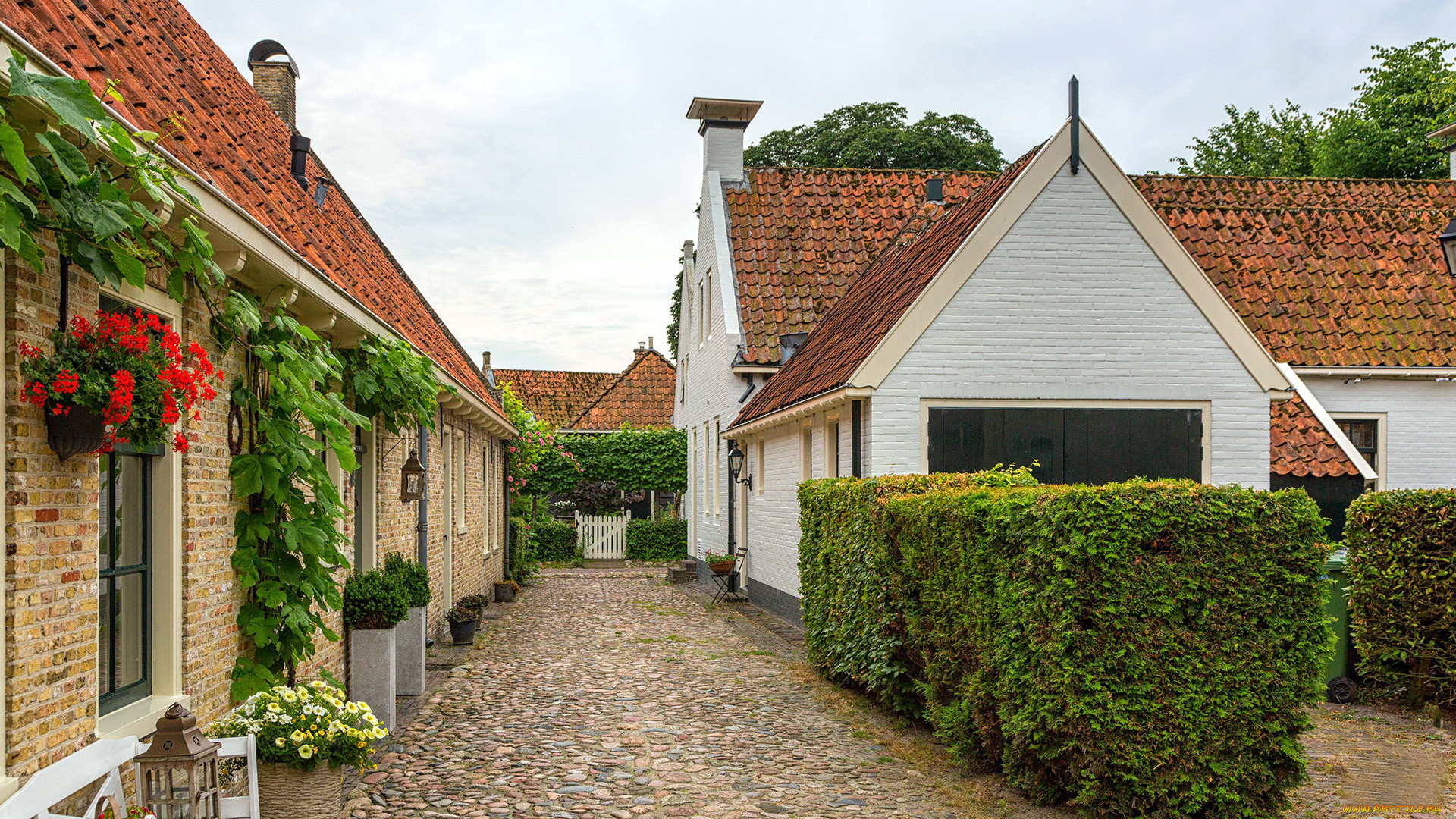 города, -, улицы, , площади, , набережные, брусчатка, герань, улица