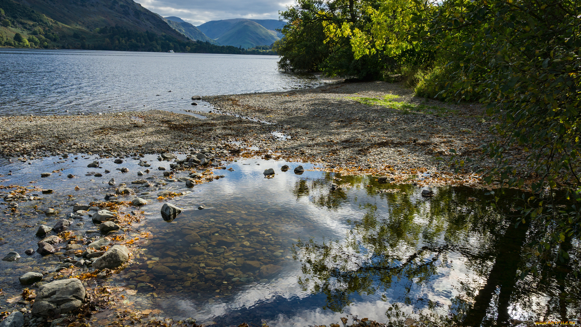 природа, реки, озера, река, лес