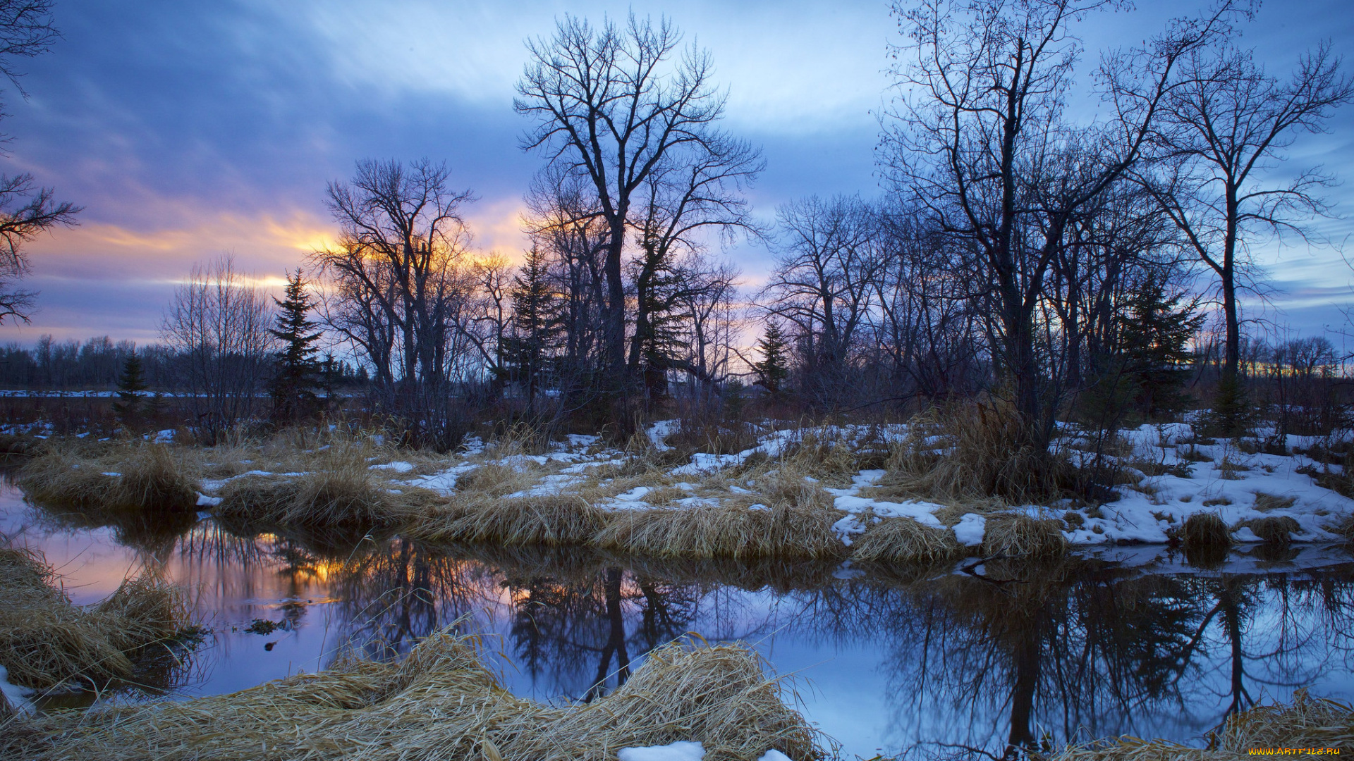 природа, реки, озера, река, лес