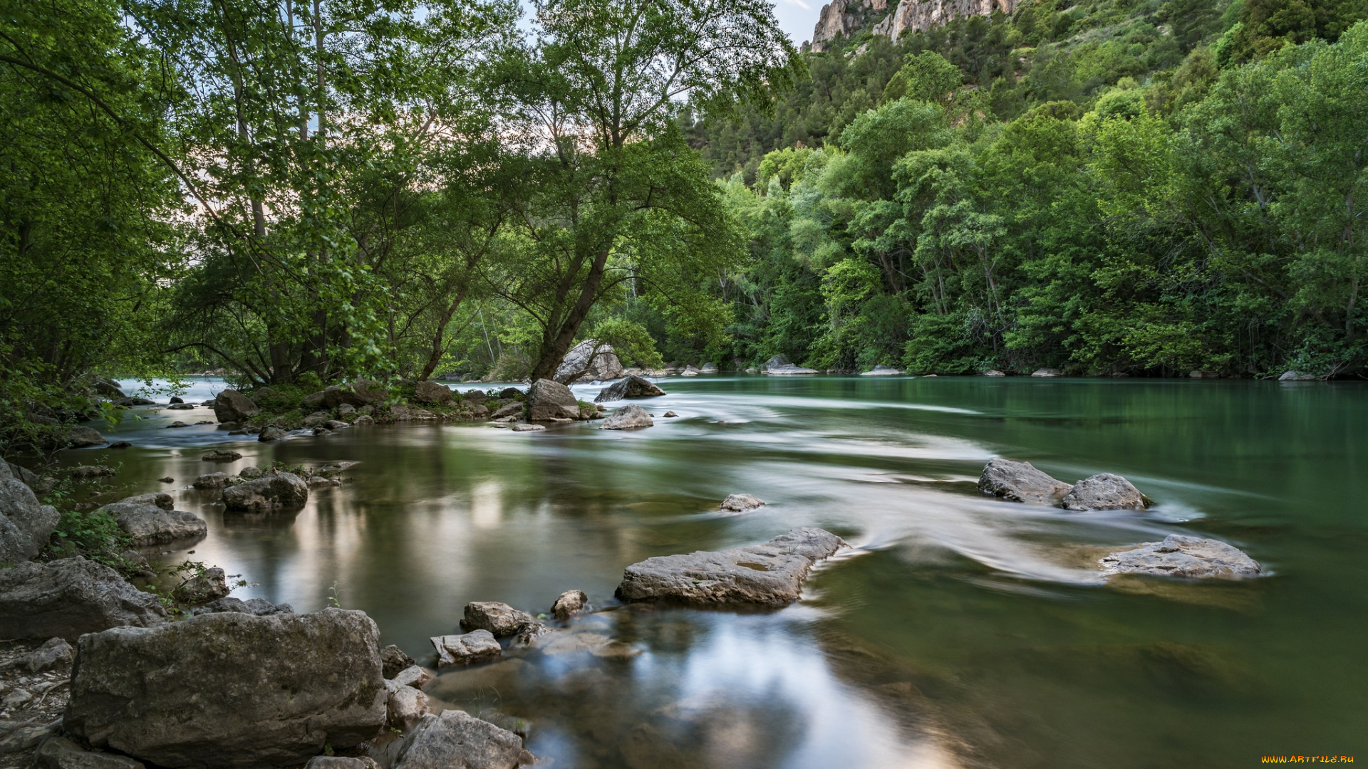 природа, реки, озера, река, лес