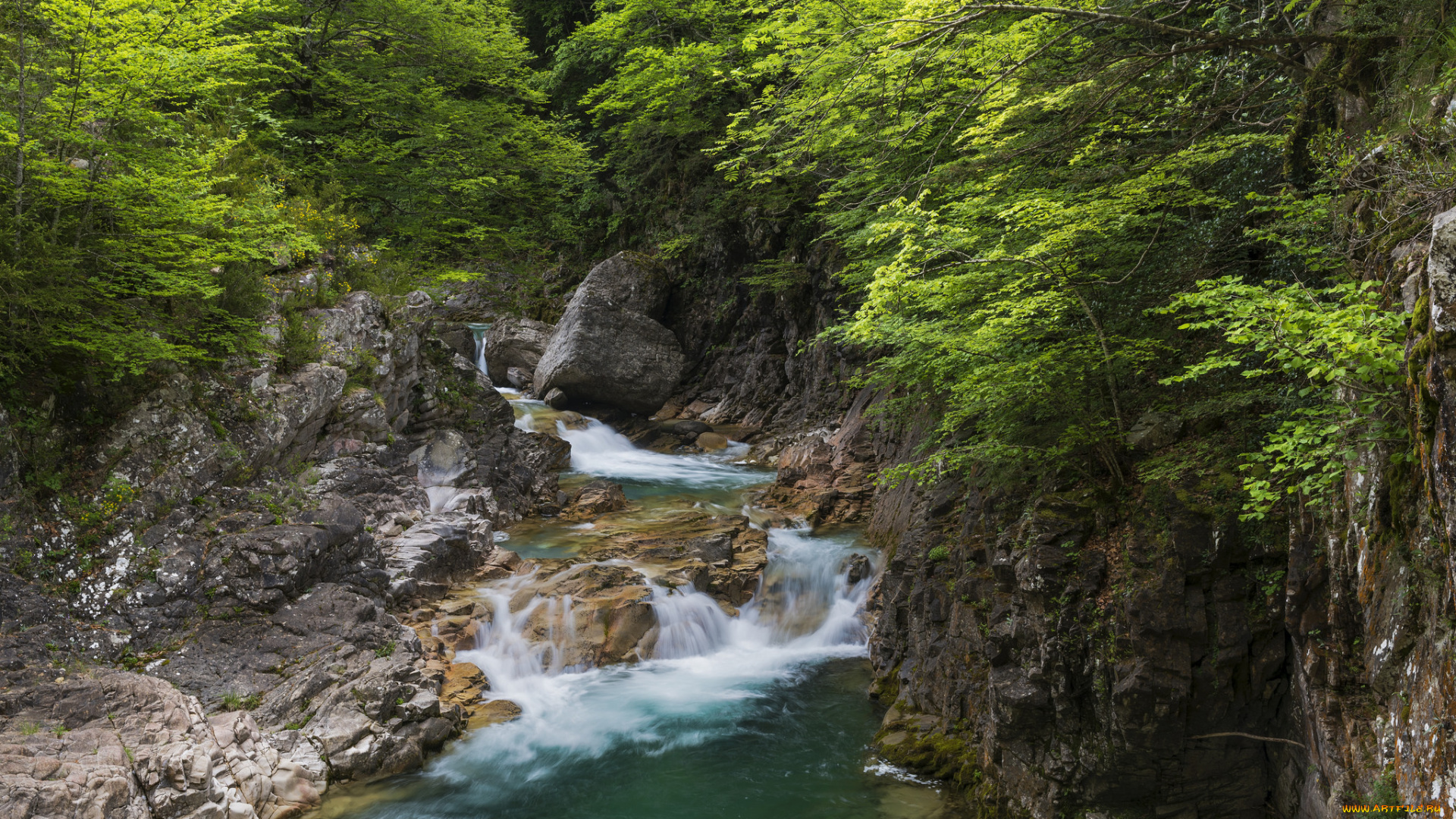 природа, реки, озера, река, лес