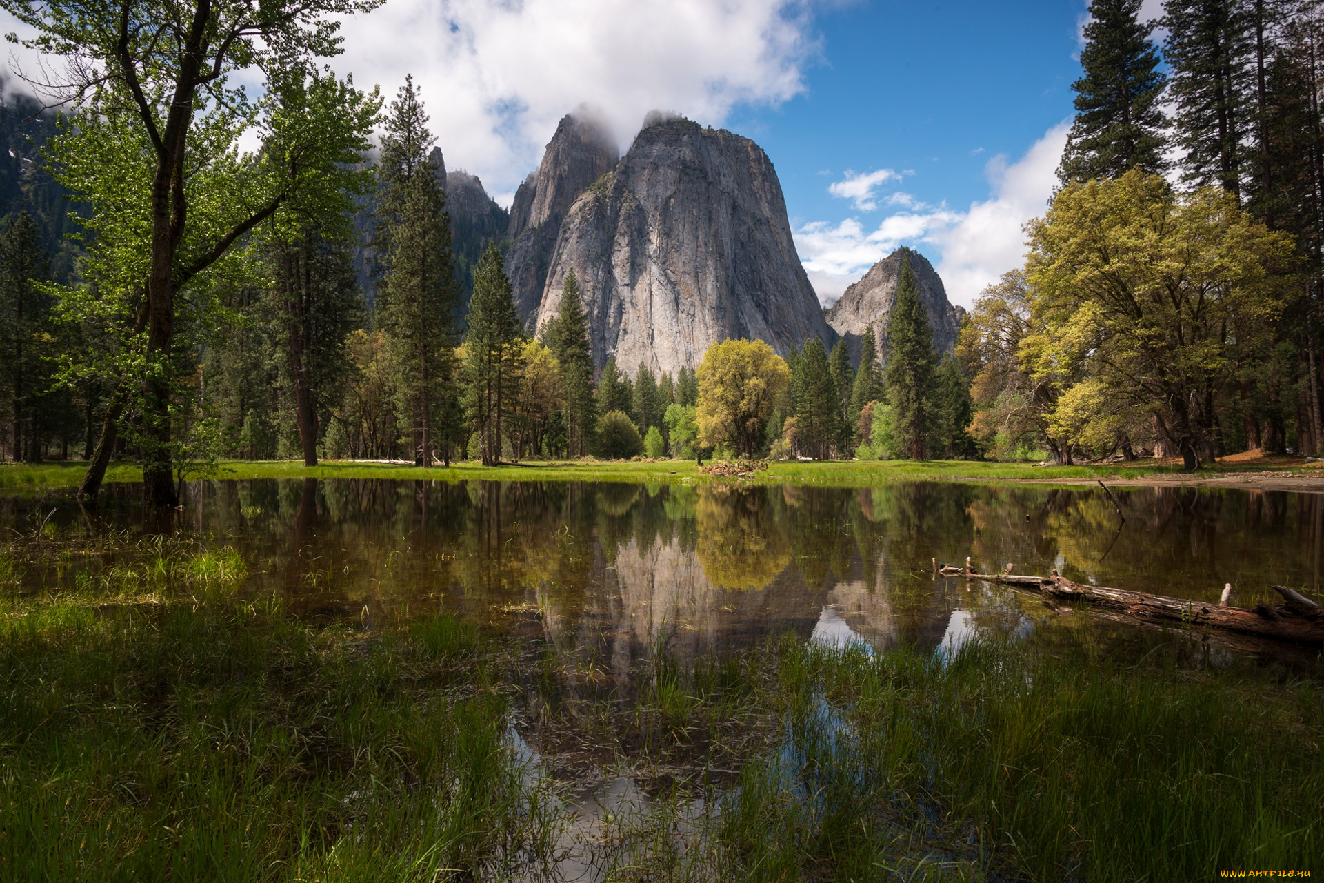 природа, реки, озера, река, лес