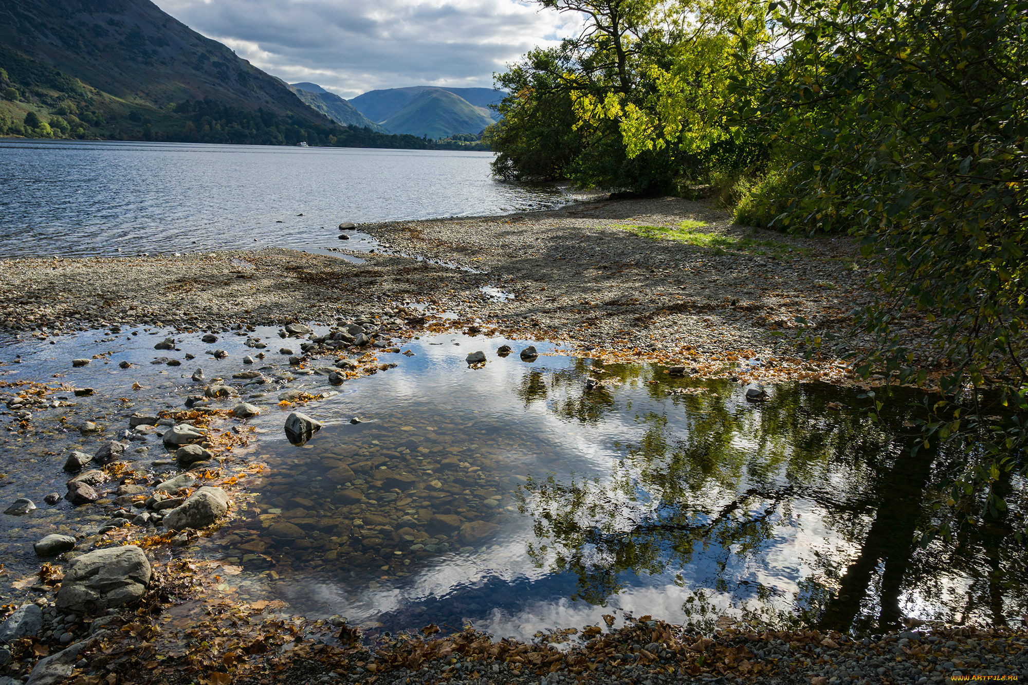 природа, реки, озера, река, лес