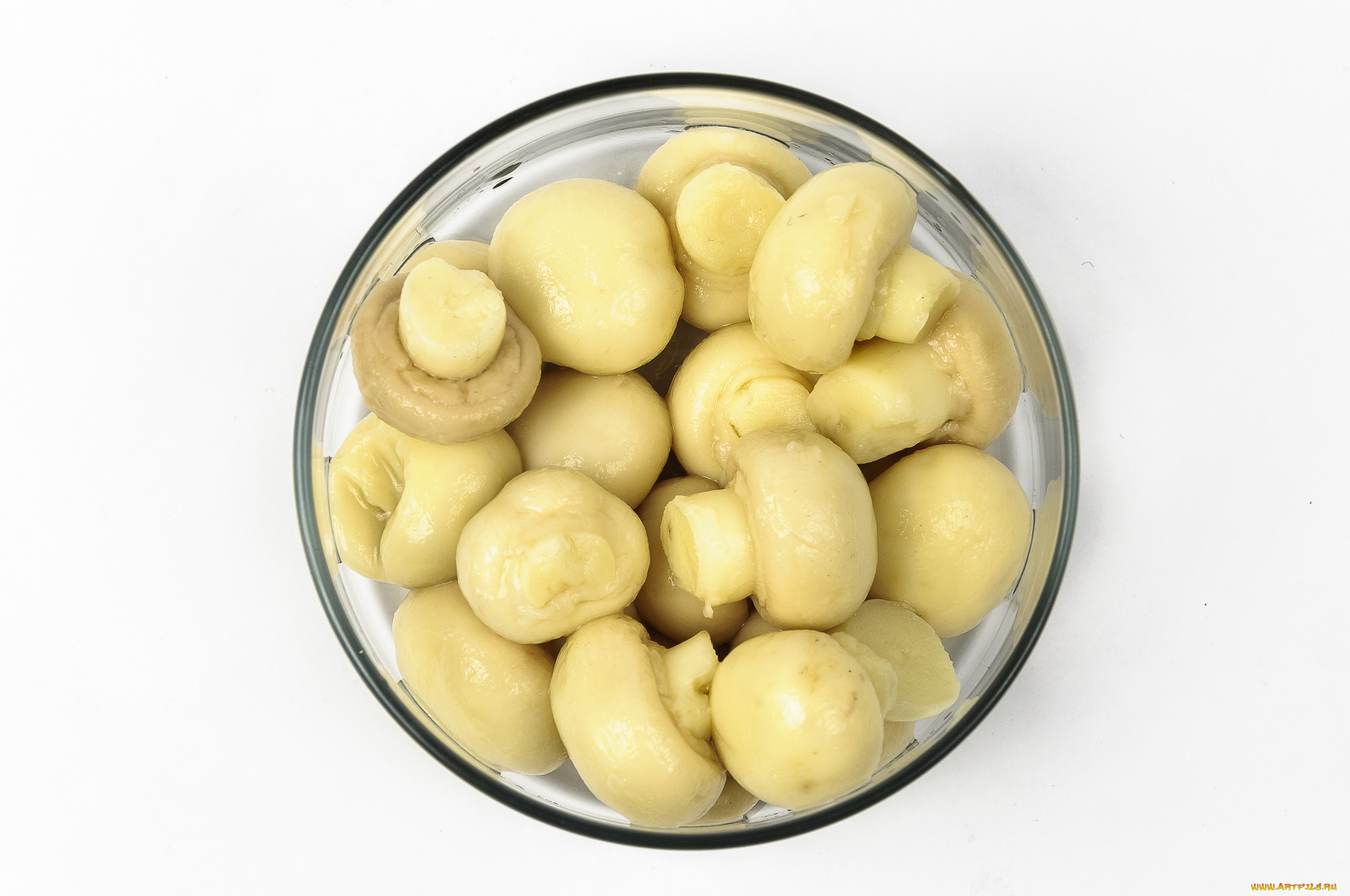 еда, грибы, , грибные, блюда, грибочки