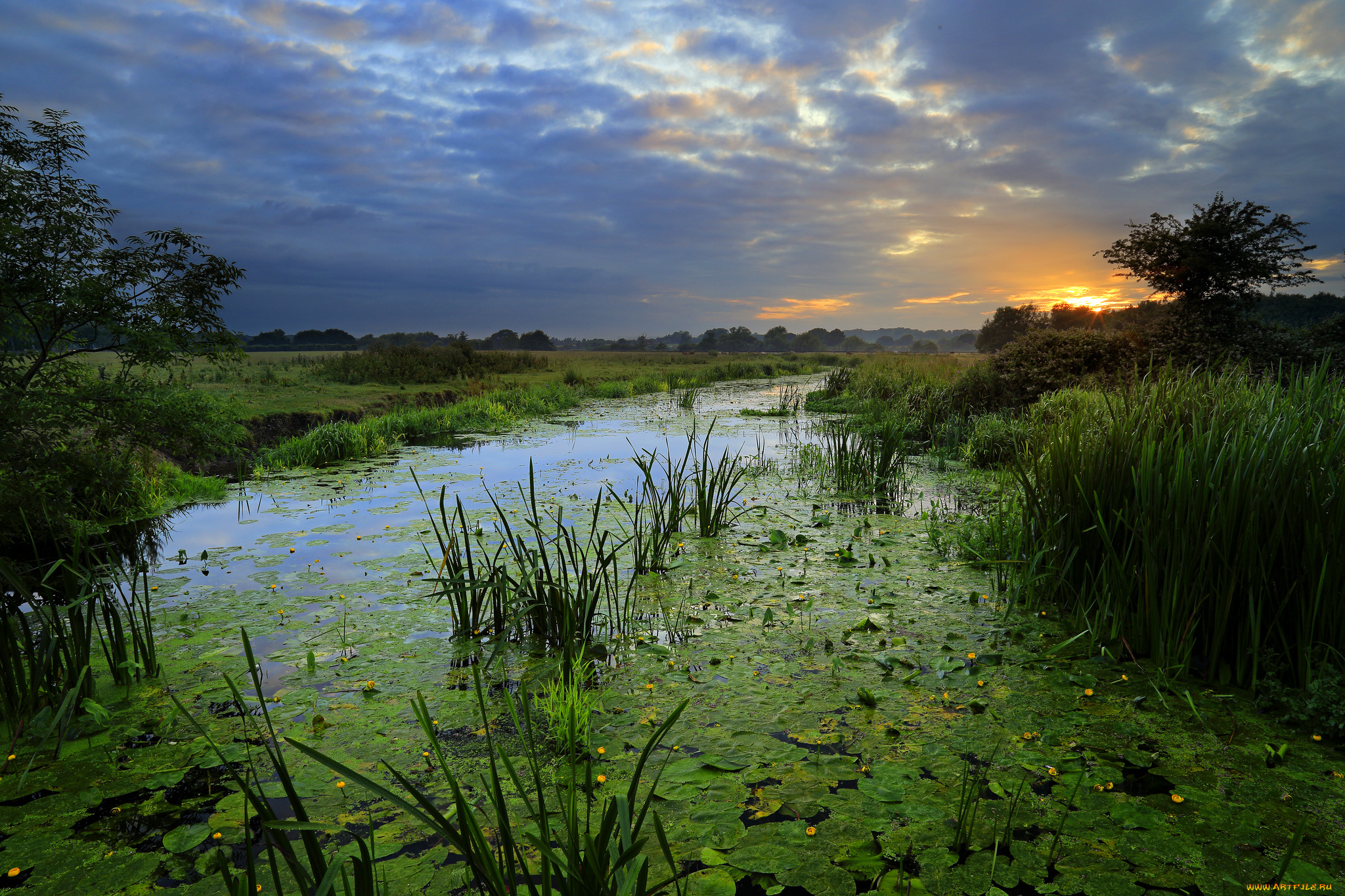 природа, реки, озера, река, лес