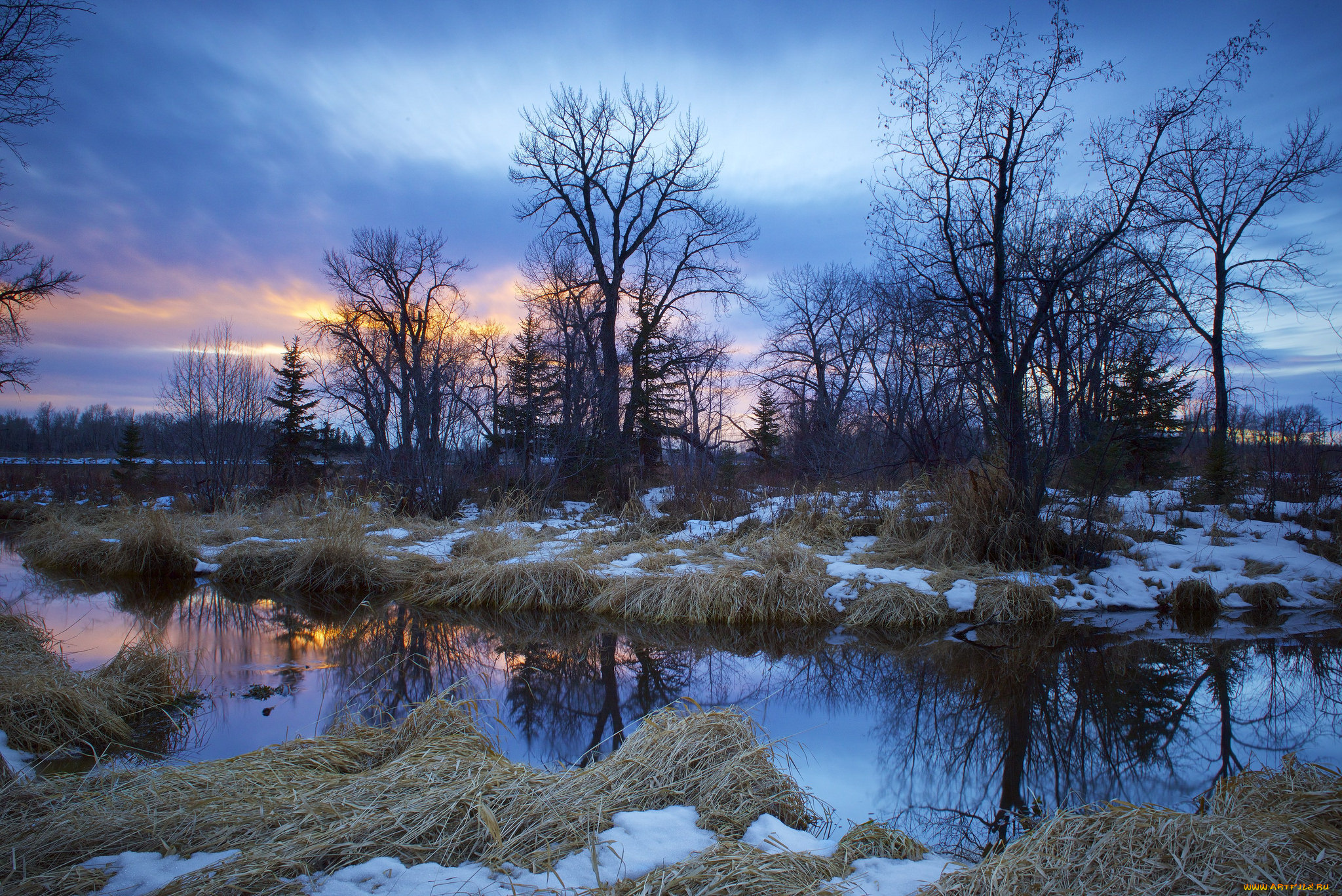 природа, реки, озера, река, лес
