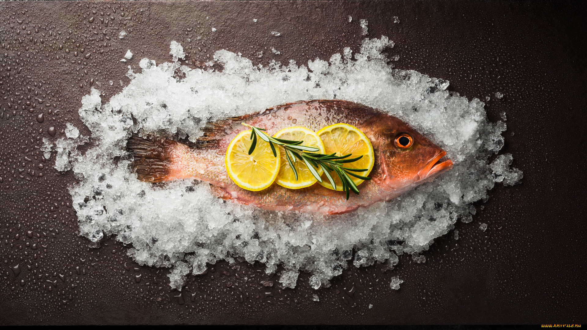 еда, рыба, , морепродукты, , суши, , роллы, снедь